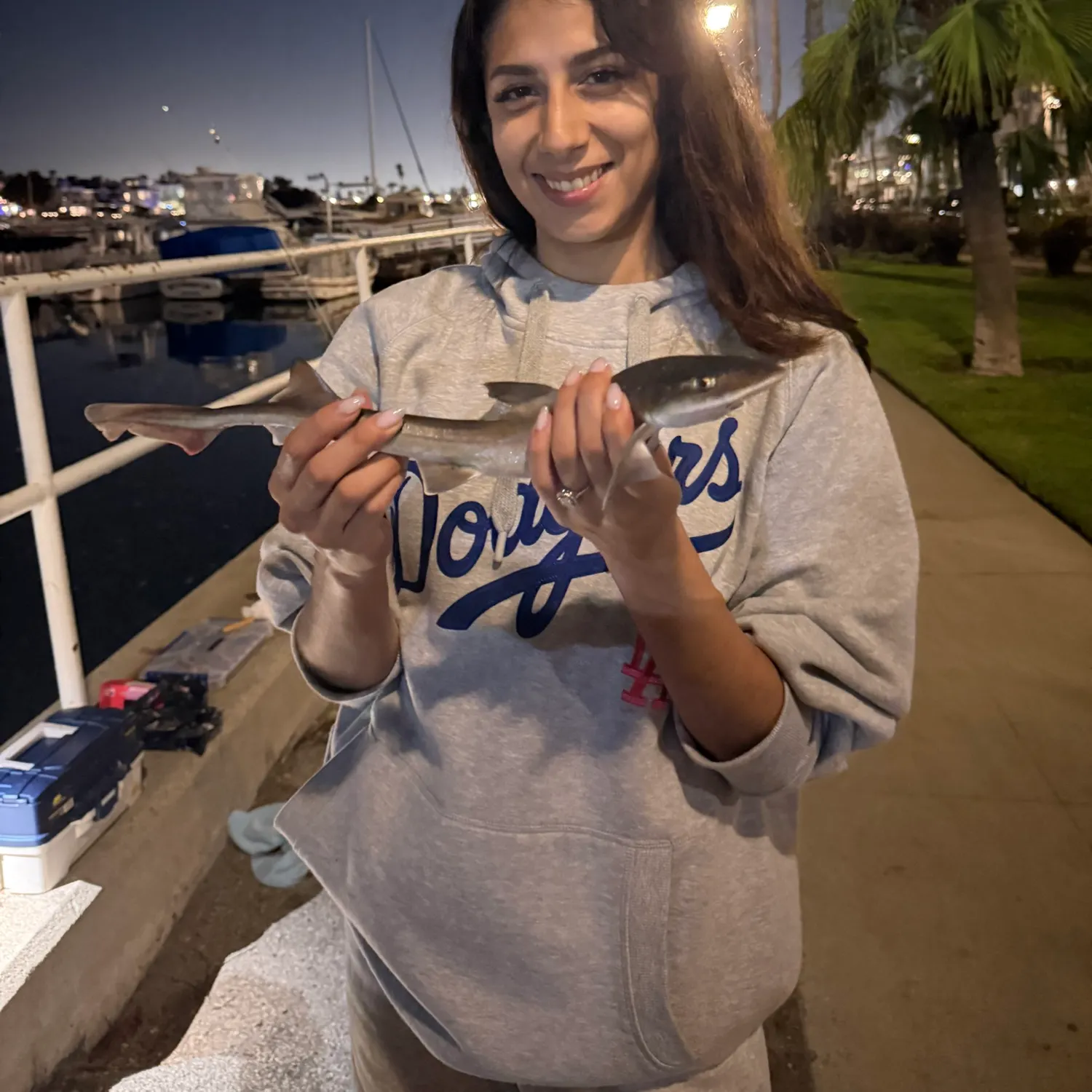 The most recent Grey smooth-hound catches on Fishbrain
