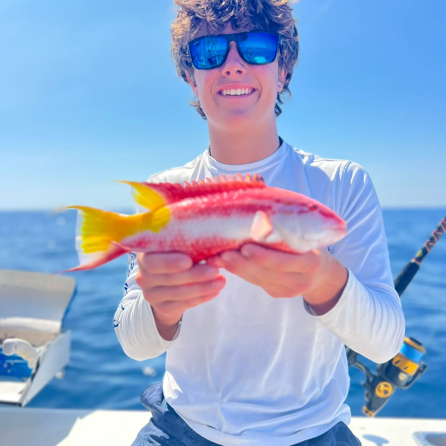 The most recent Spanish hogfish catches on Fishbrain