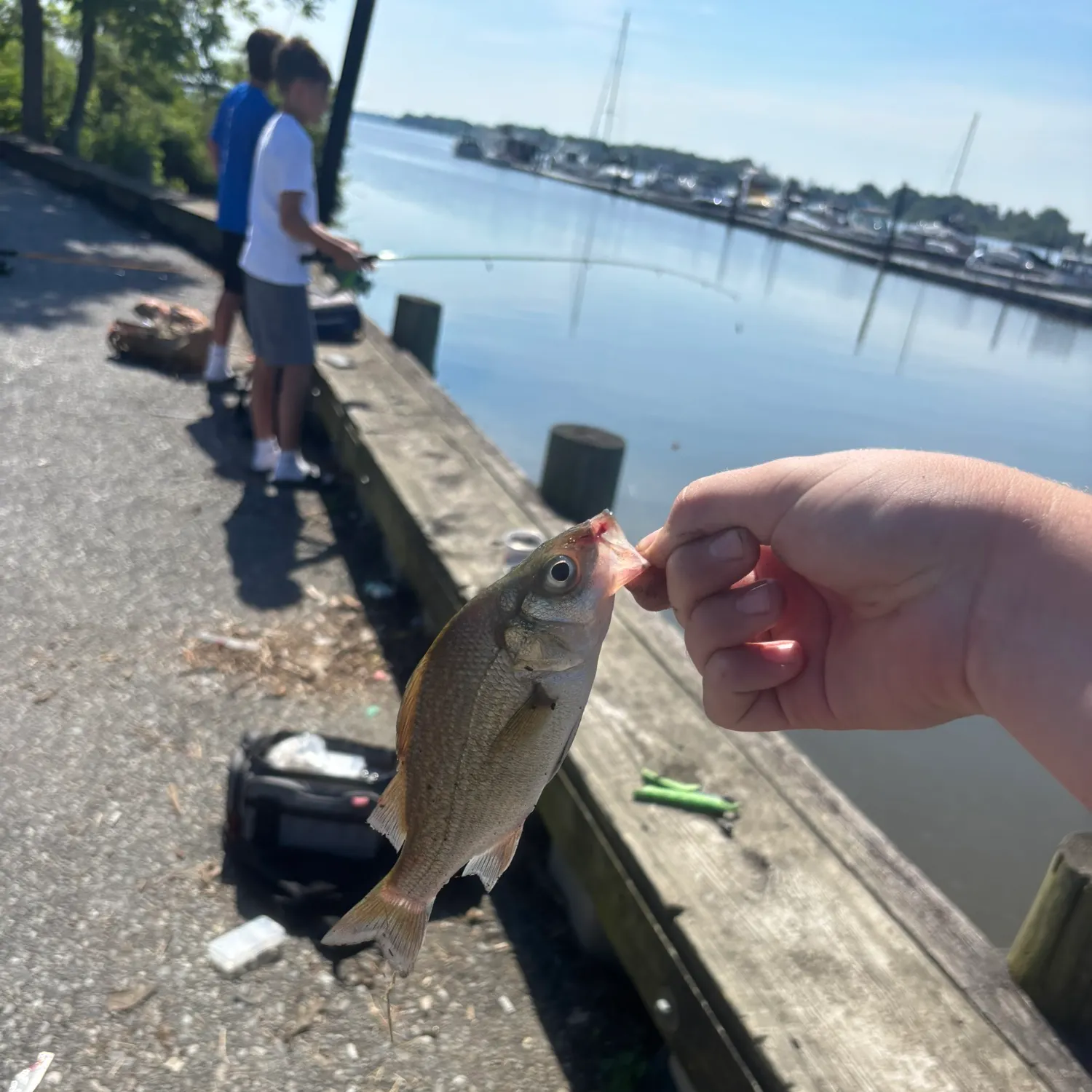catch