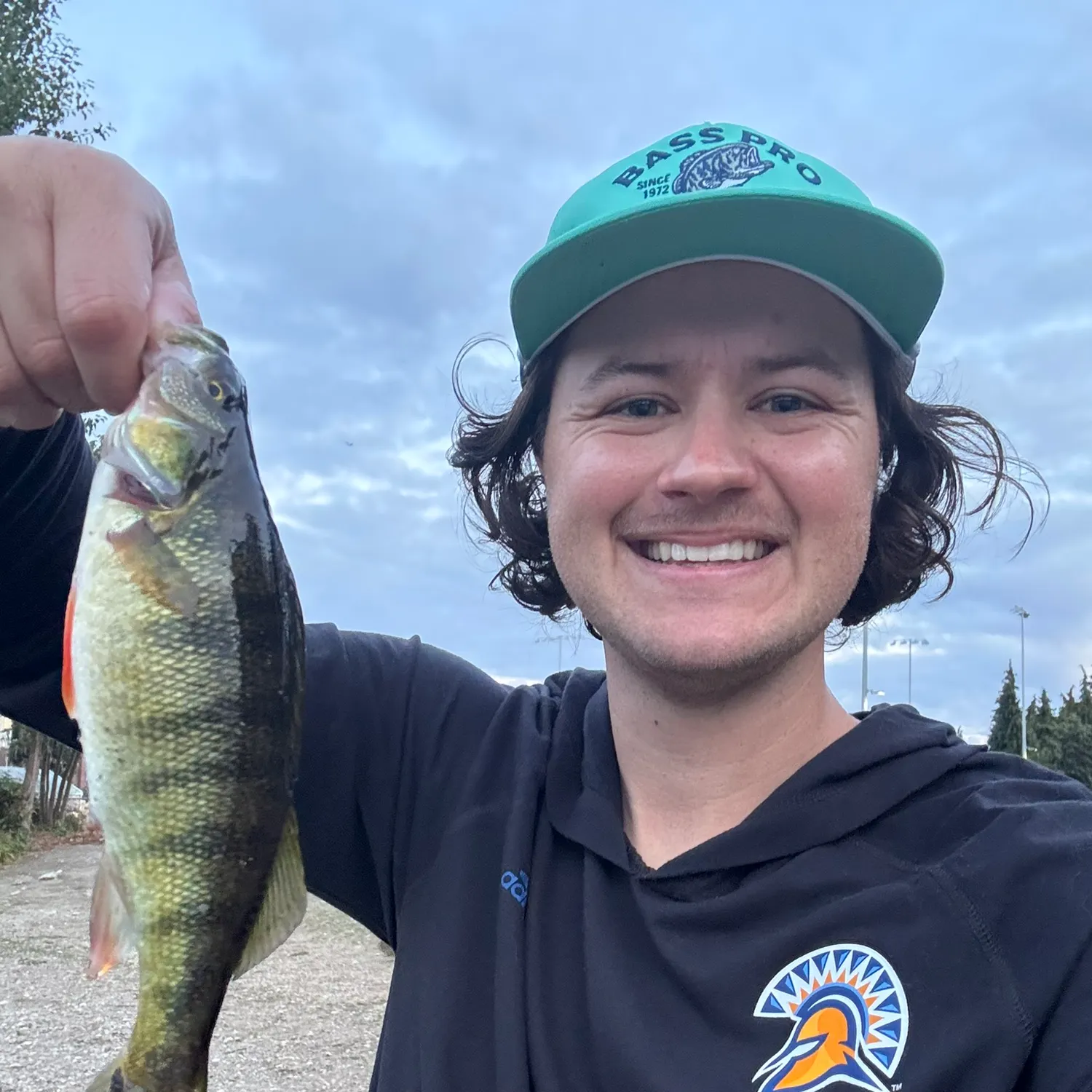 Yellow perch caught on Fishbrain