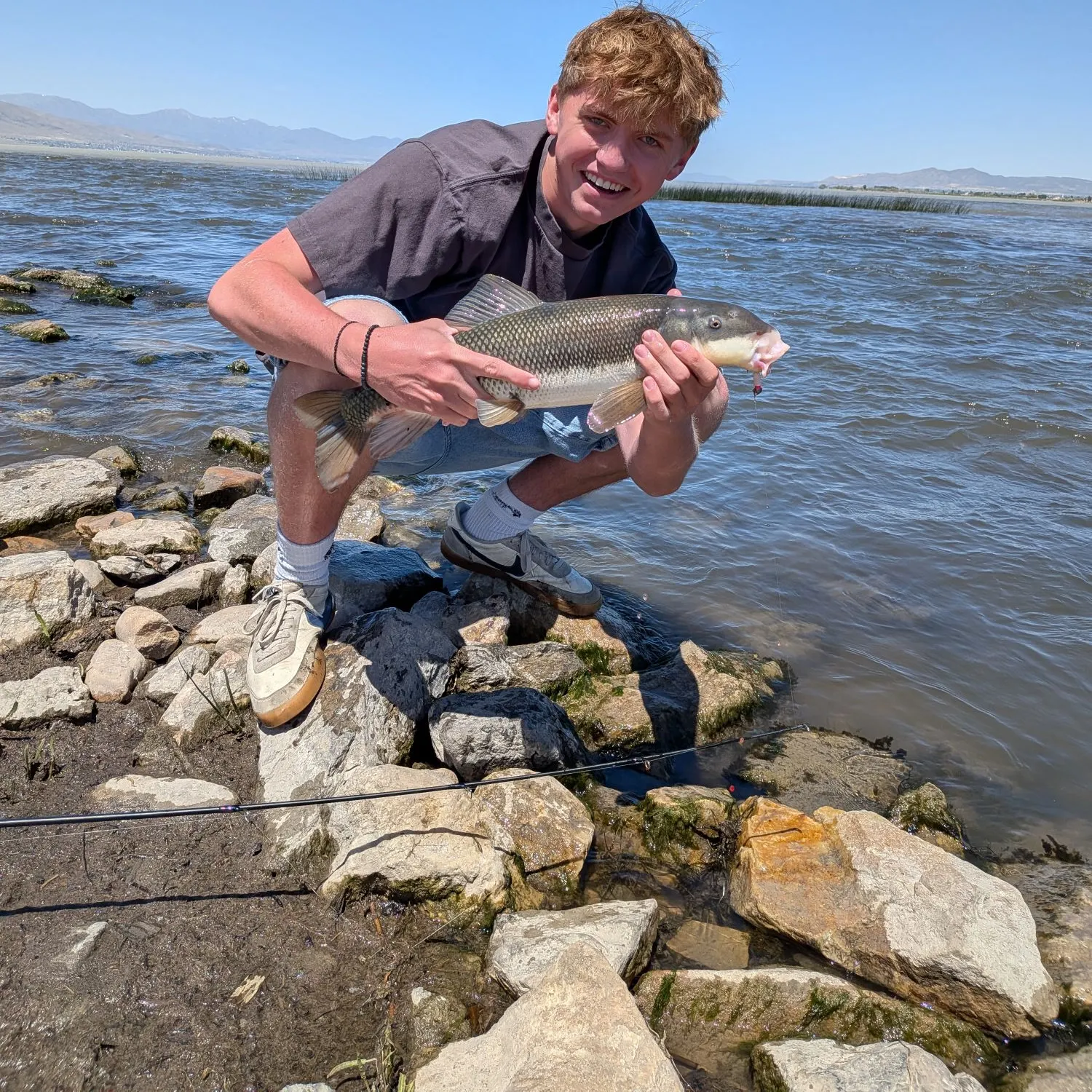 The most recent June sucker catches on Fishbrain