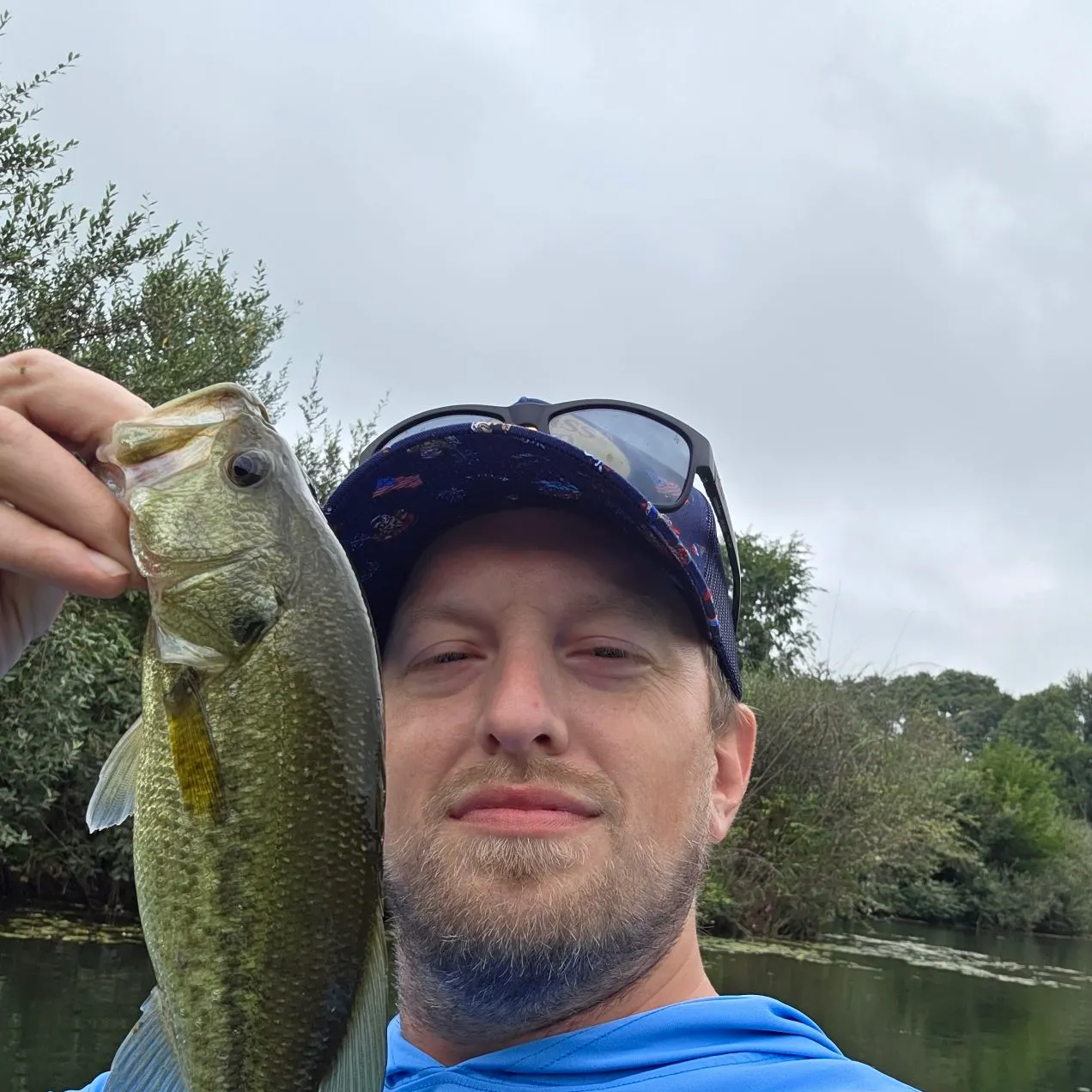 Largemouth bass caught on Fishbrain