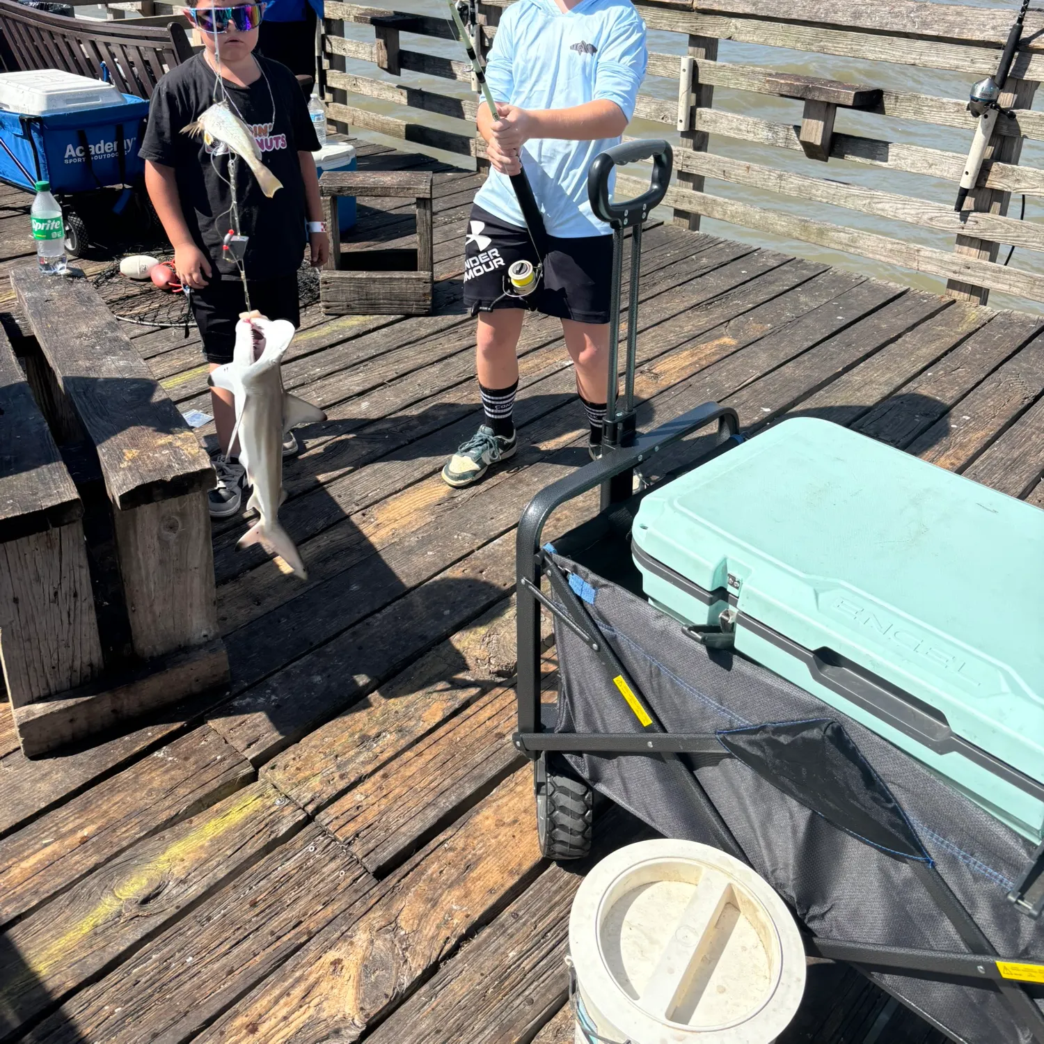 The most recent Blacktip reef shark catches on Fishbrain