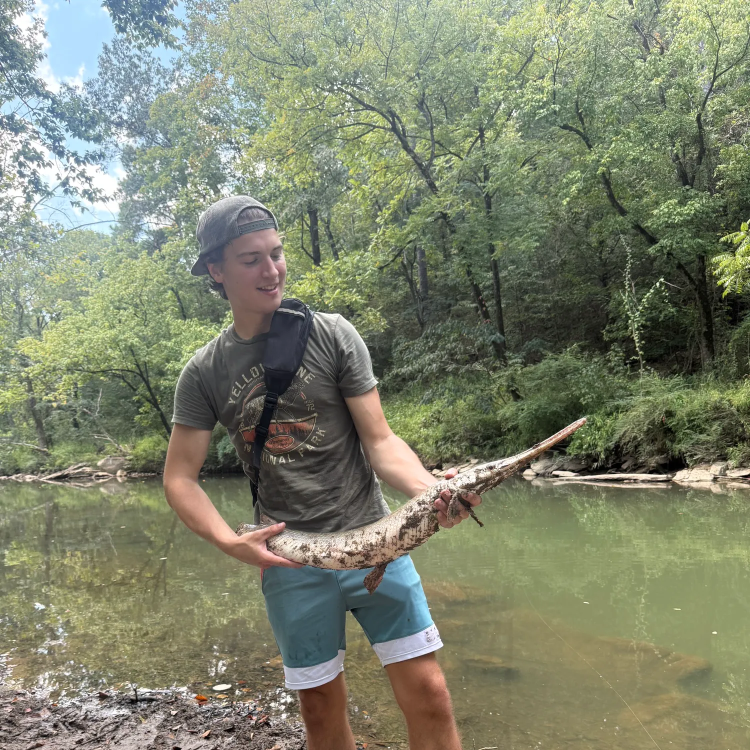 Spotted gar caught on Fishbrain