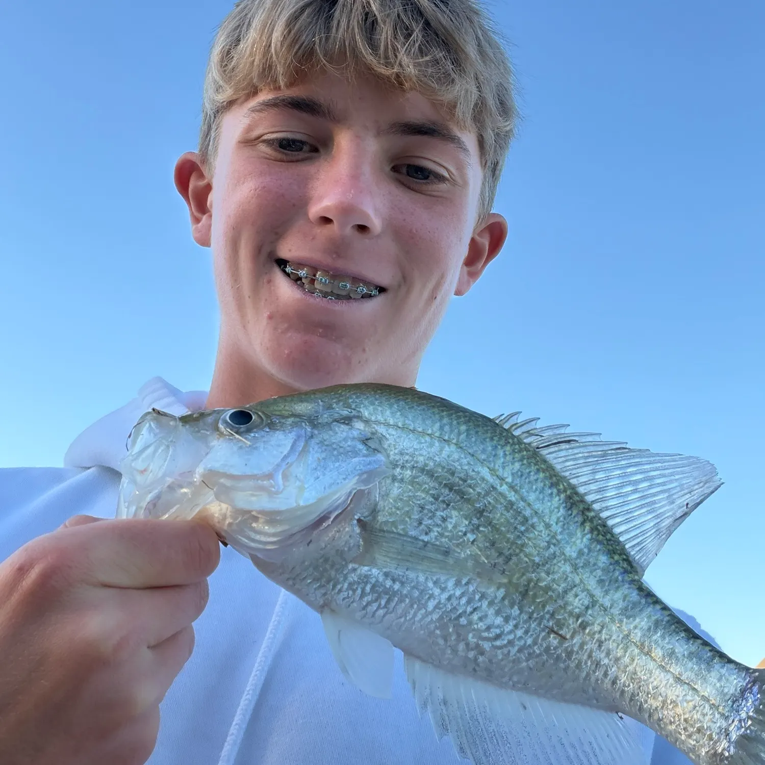 White crappie caught on Fishbrain