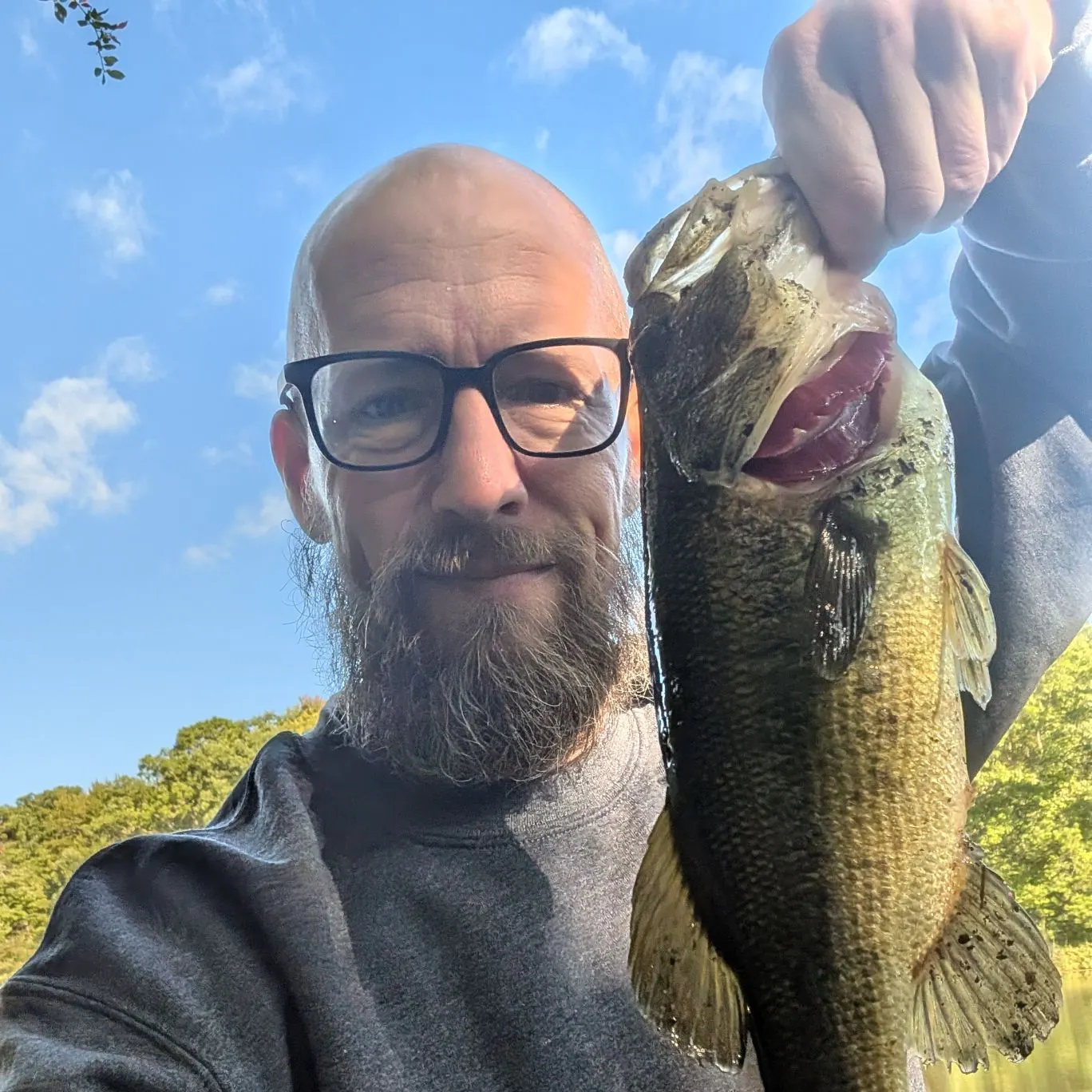 Largemouth bass caught on Fishbrain