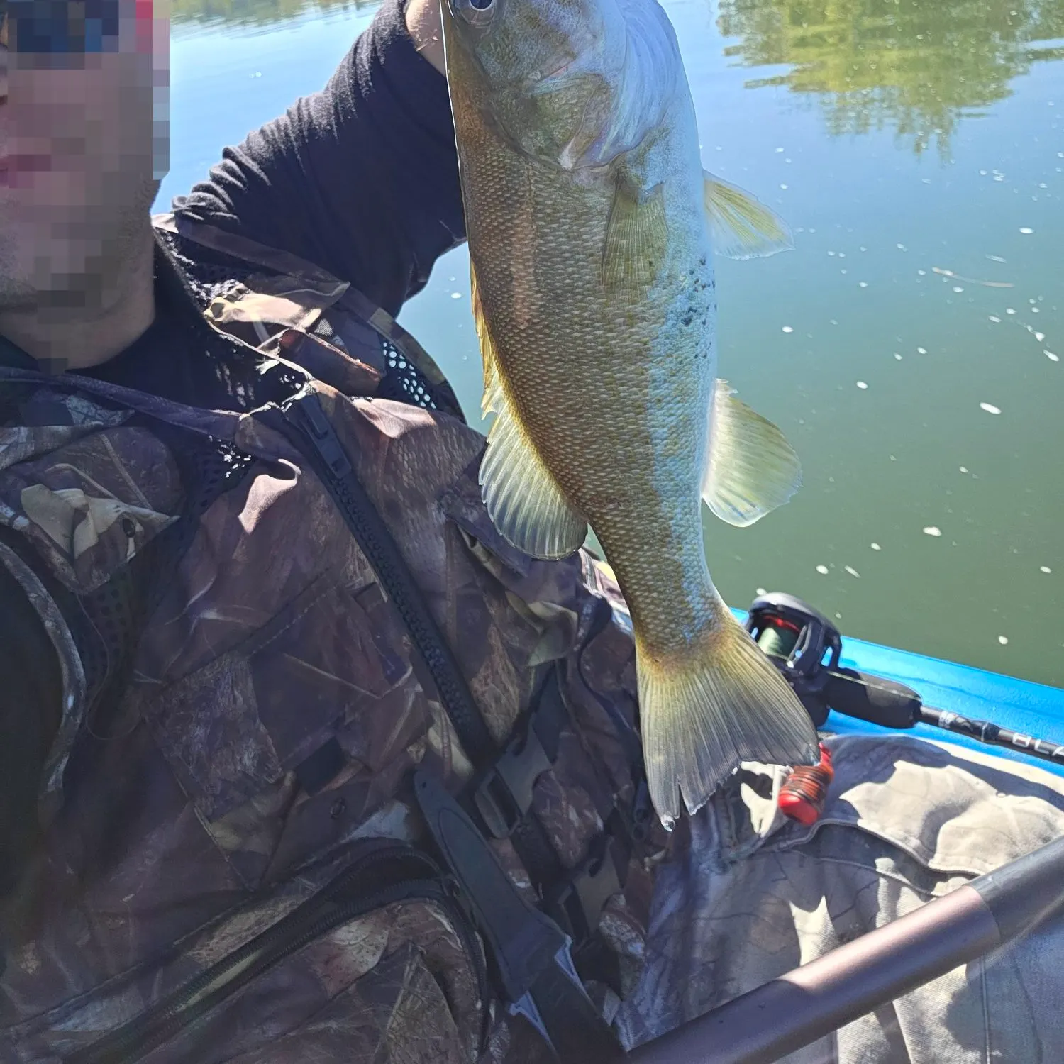 Smallmouth bass caught on Fishbrain