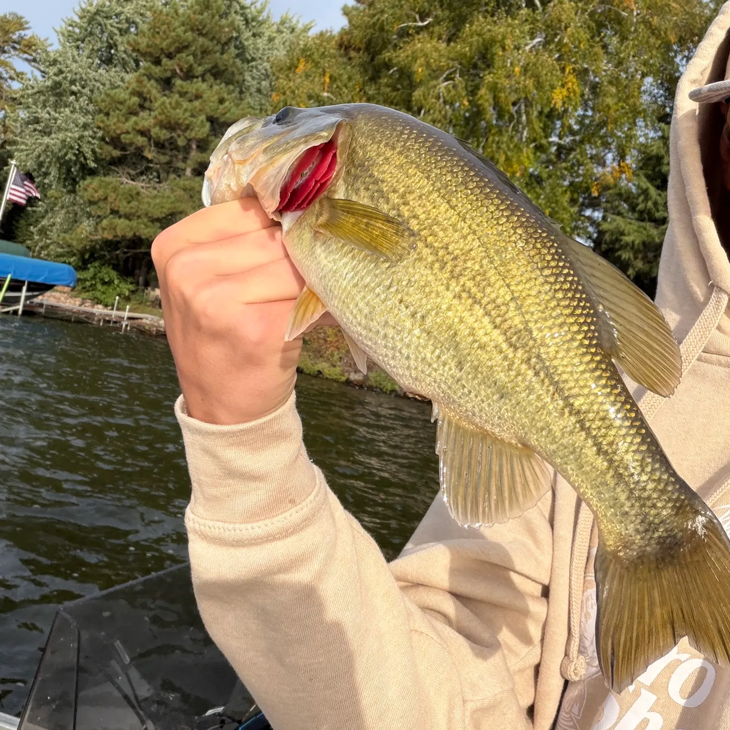 Largemouth bass caught on Fishbrain