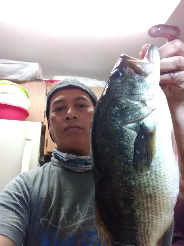 Post image from fishcam206king