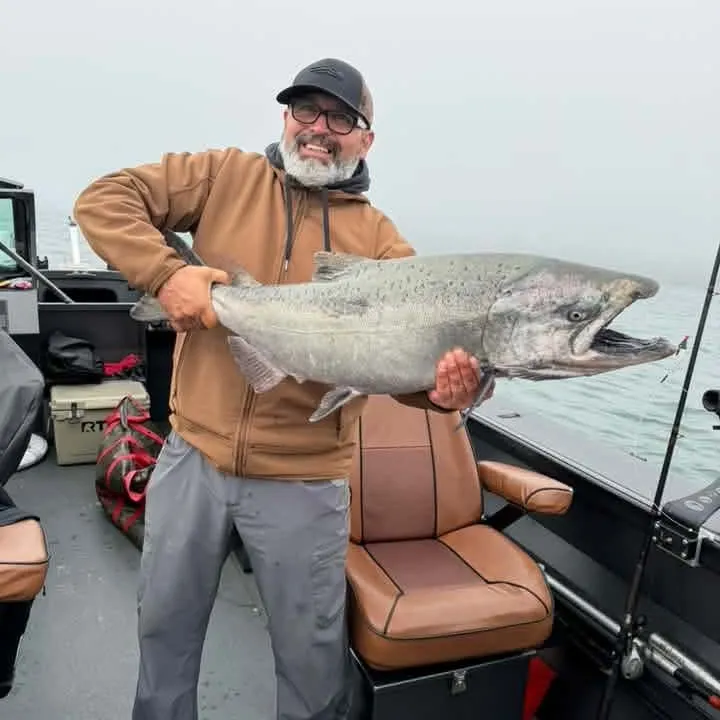 Chinook salmon caught on Fishbrain