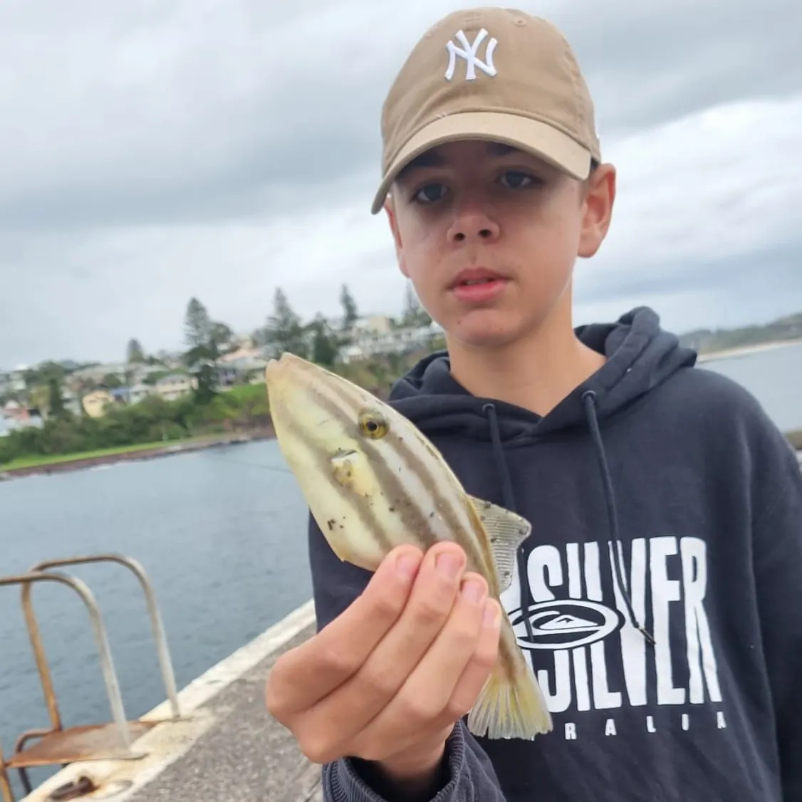 The most recent Chinaman-leatherjacket catches on Fishbrain