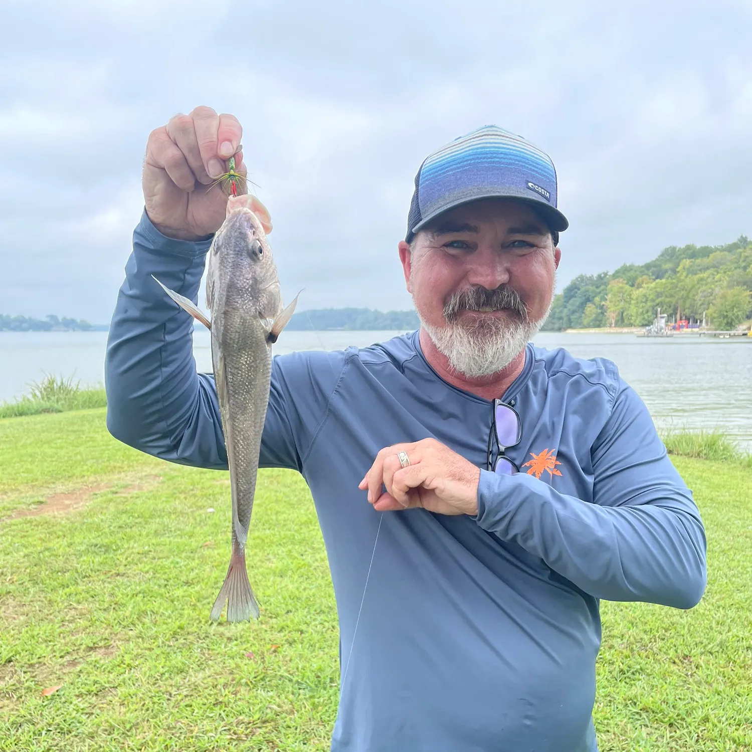 Freshwater drum caught on Fishbrain