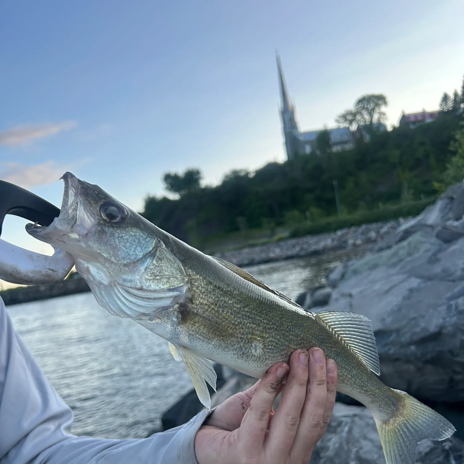 catch