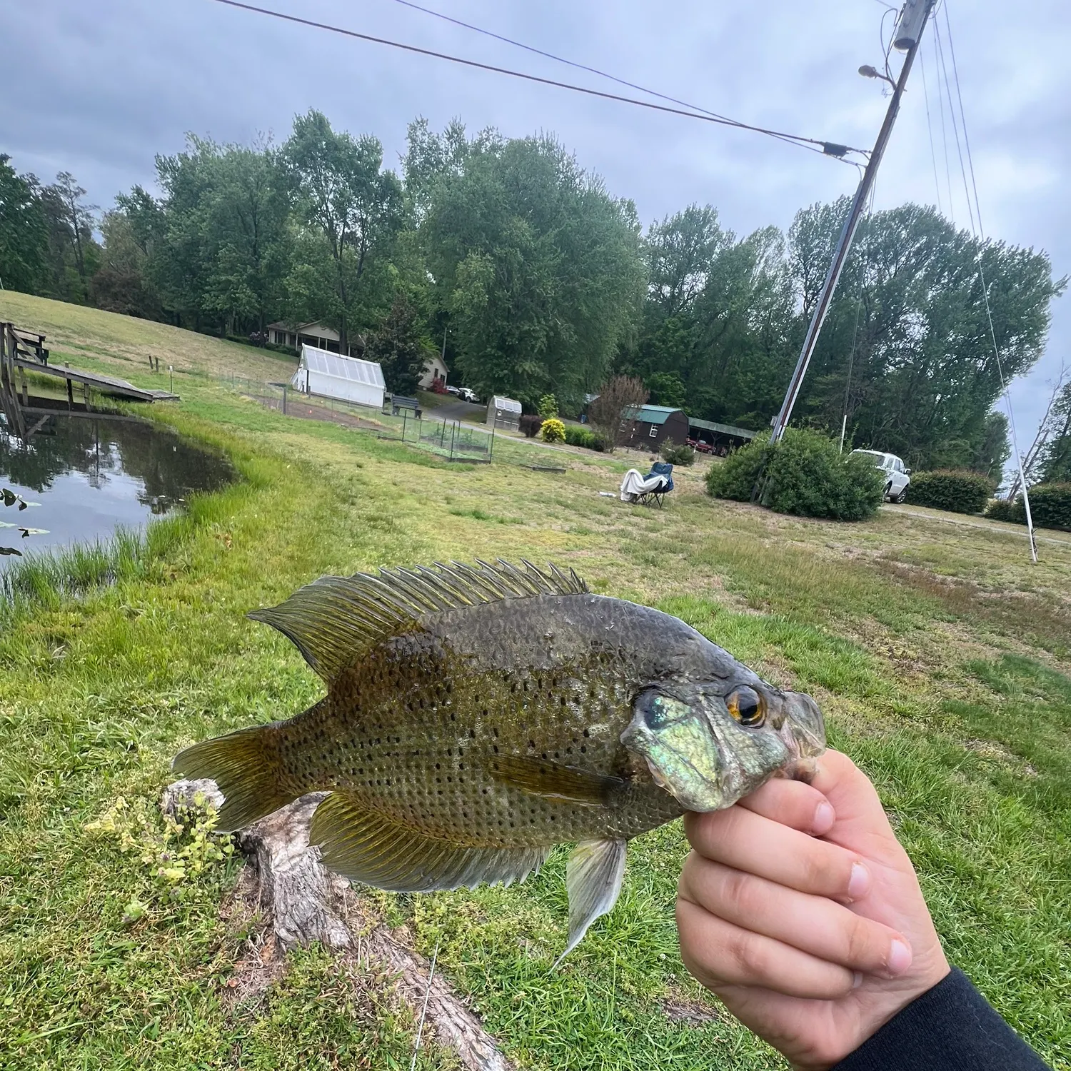Flier caught on Fishbrain