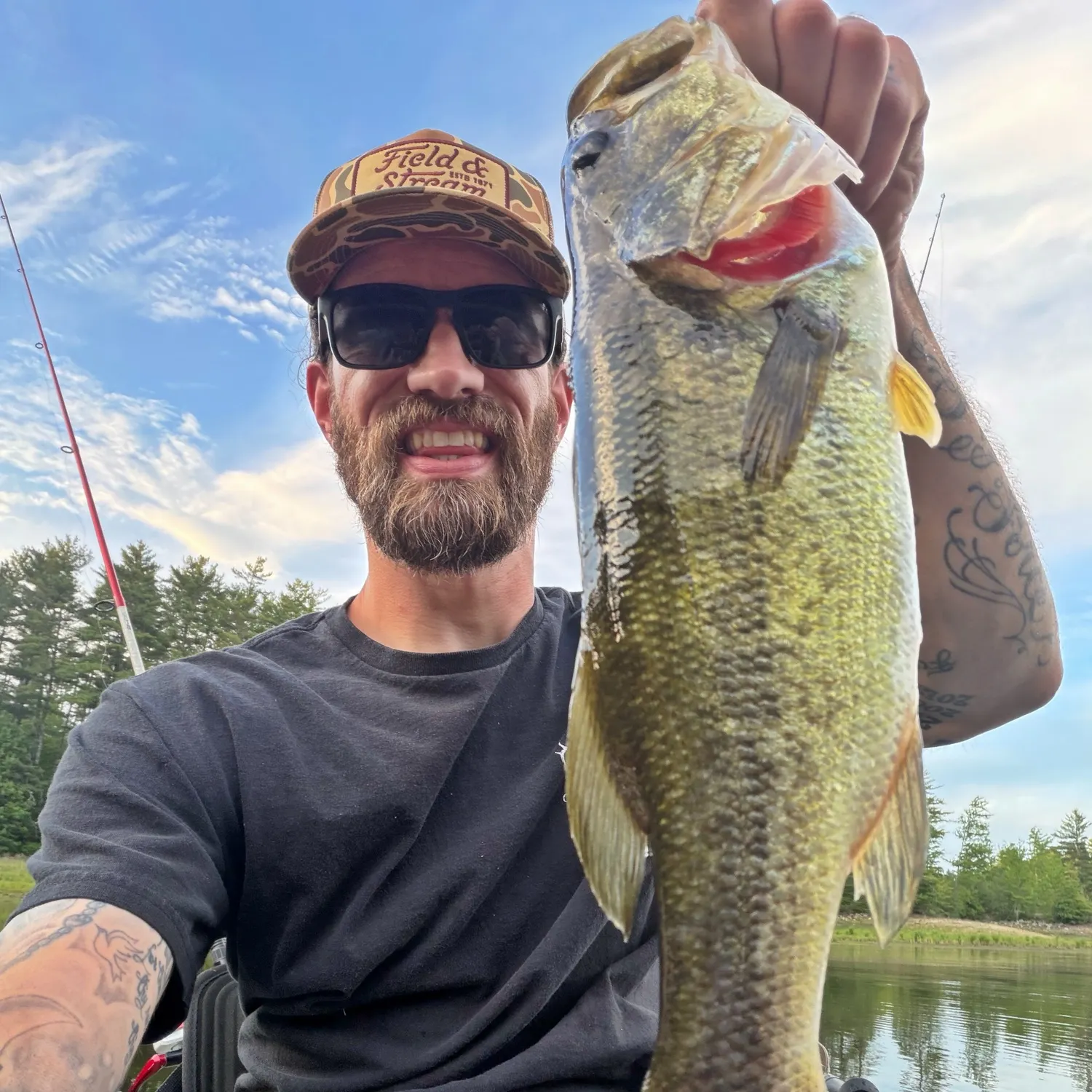 recently logged catches