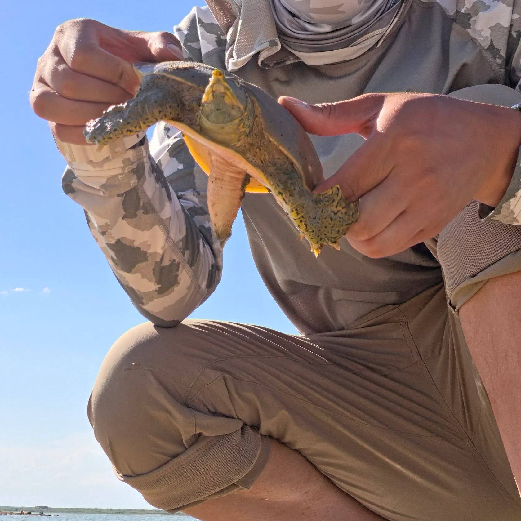 The most recent Spiny softshell turtle catches on Fishbrain