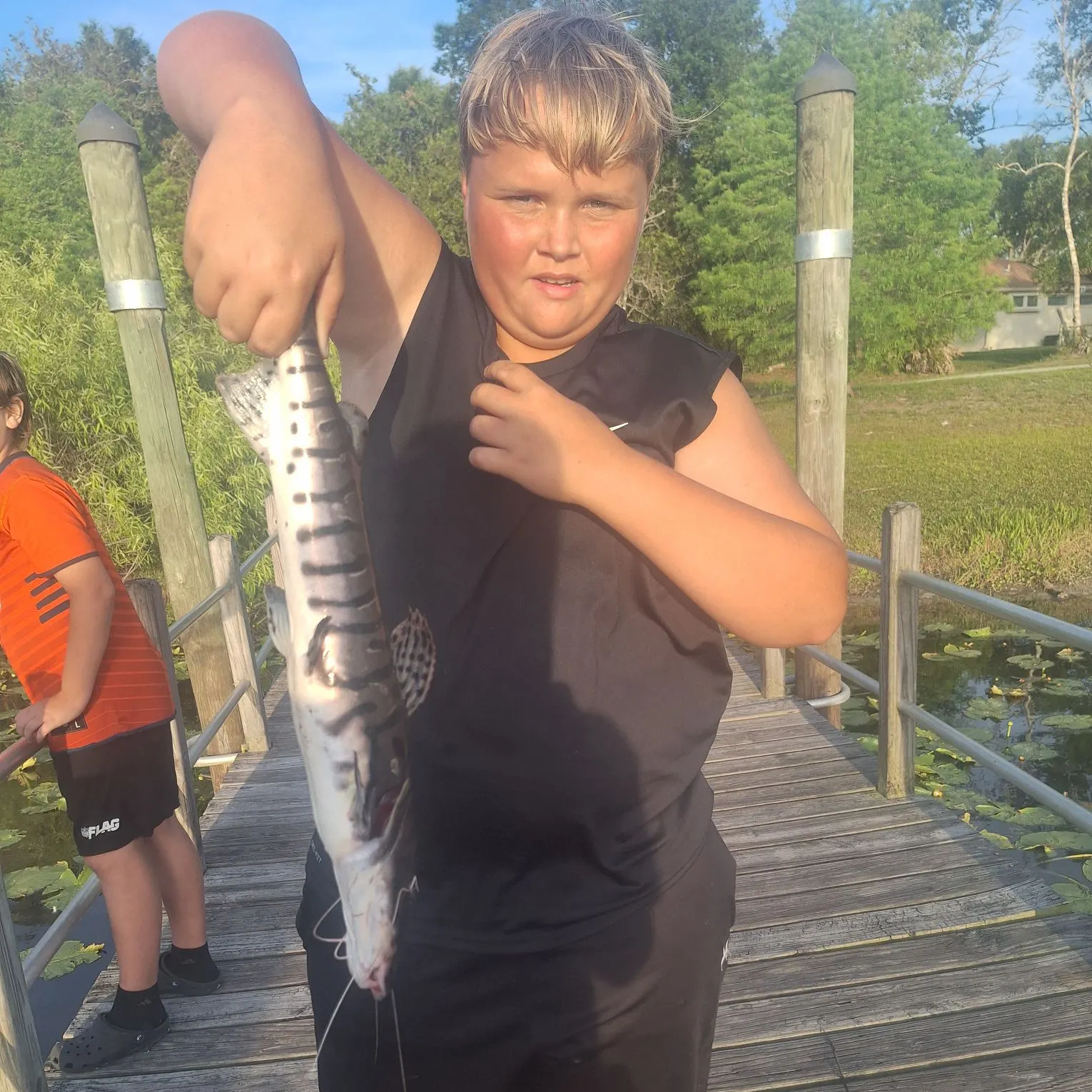 The most recent Barred sorubim catches on Fishbrain