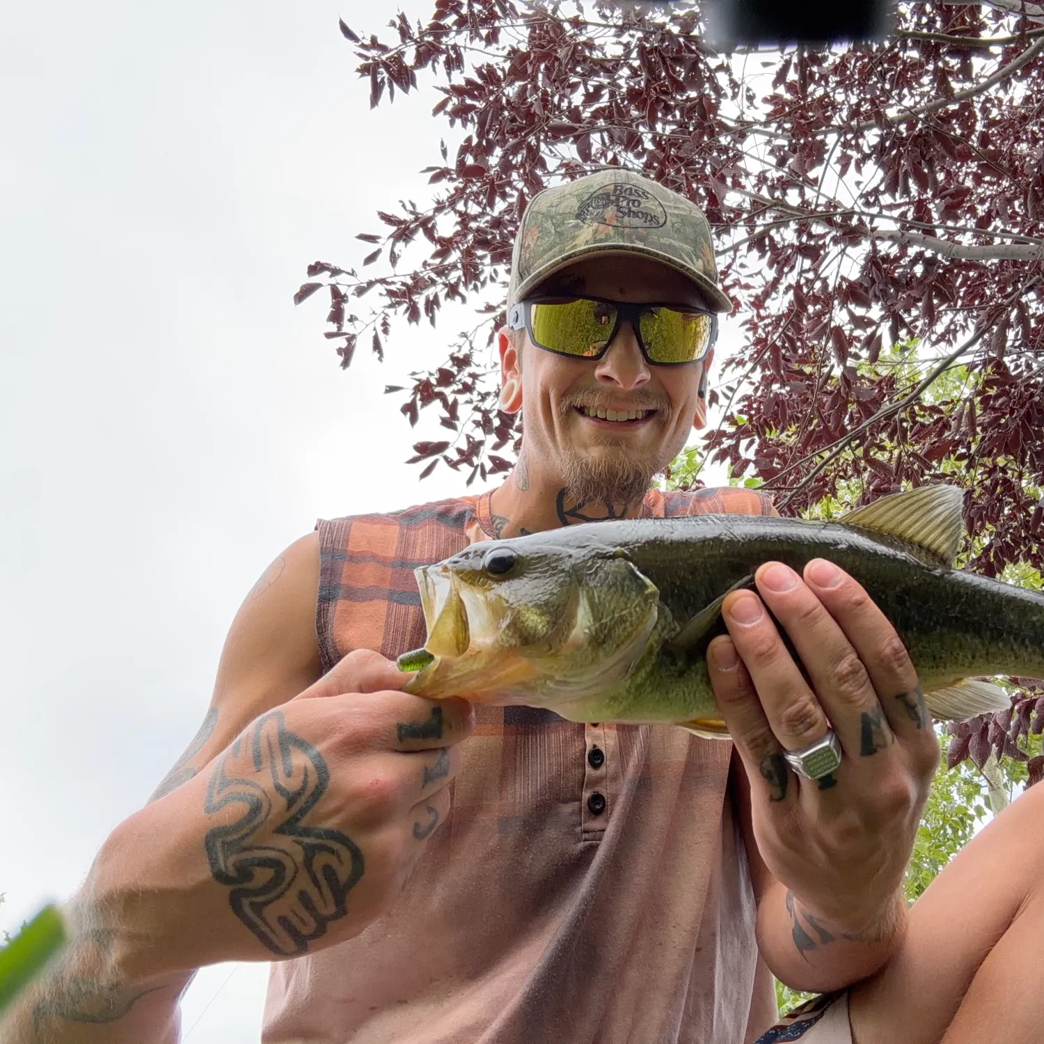 Largemouth bass caught on Fishbrain