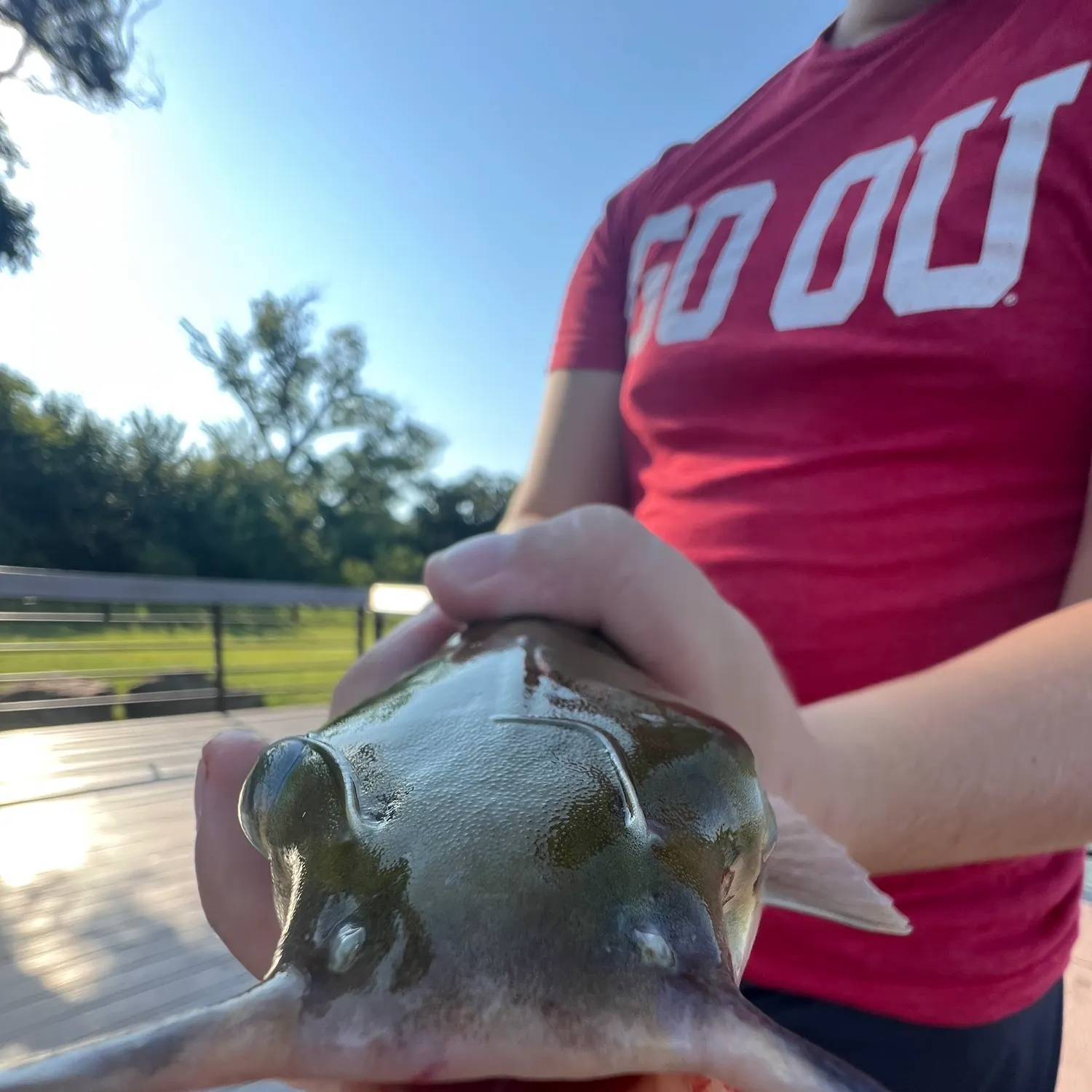 Fishing in Fort Worth, TX (United States) ️️️️ Find Spots, Species & Tips