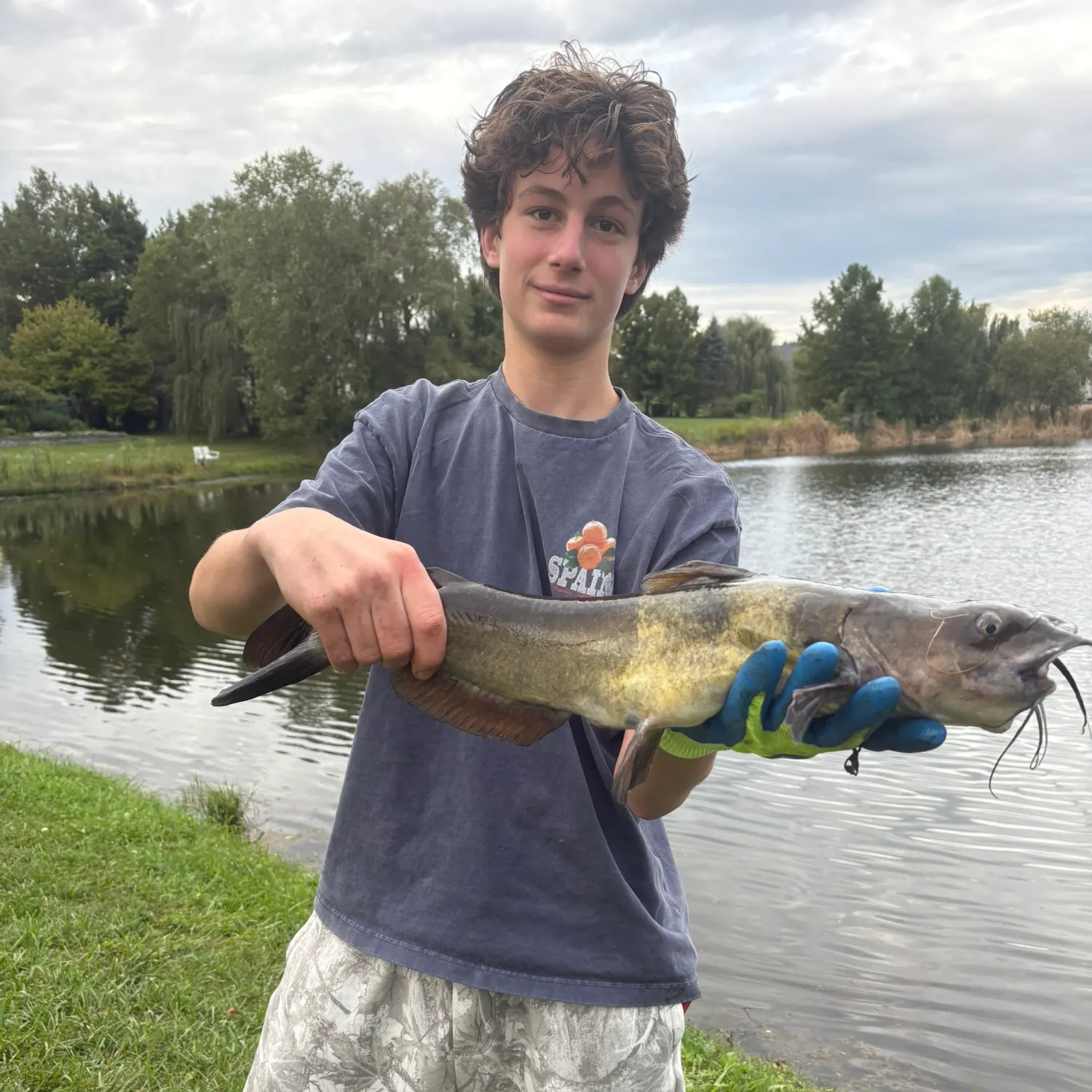 Channel catfish caught on Fishbrain