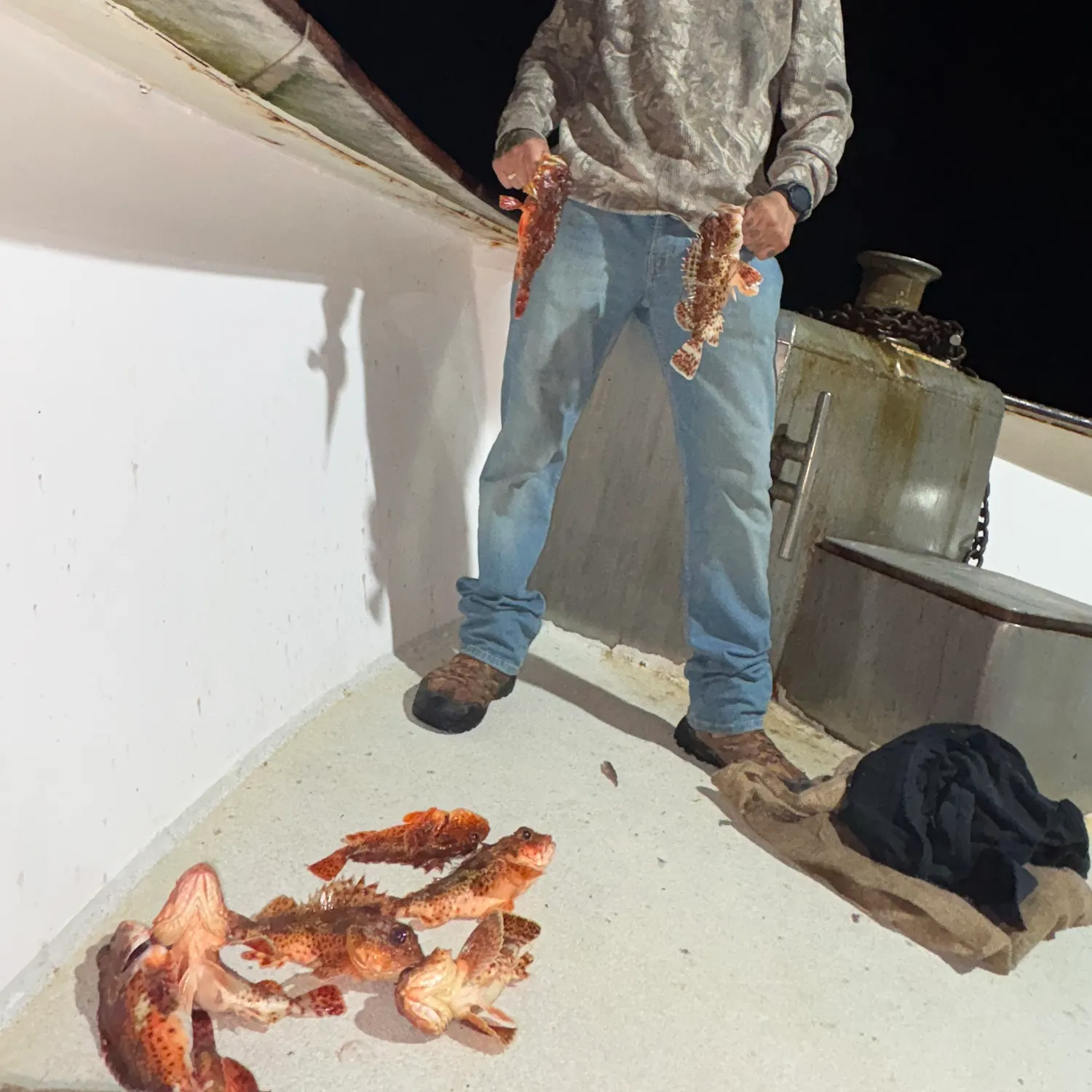 California scorpionfish caught on Fishbrain