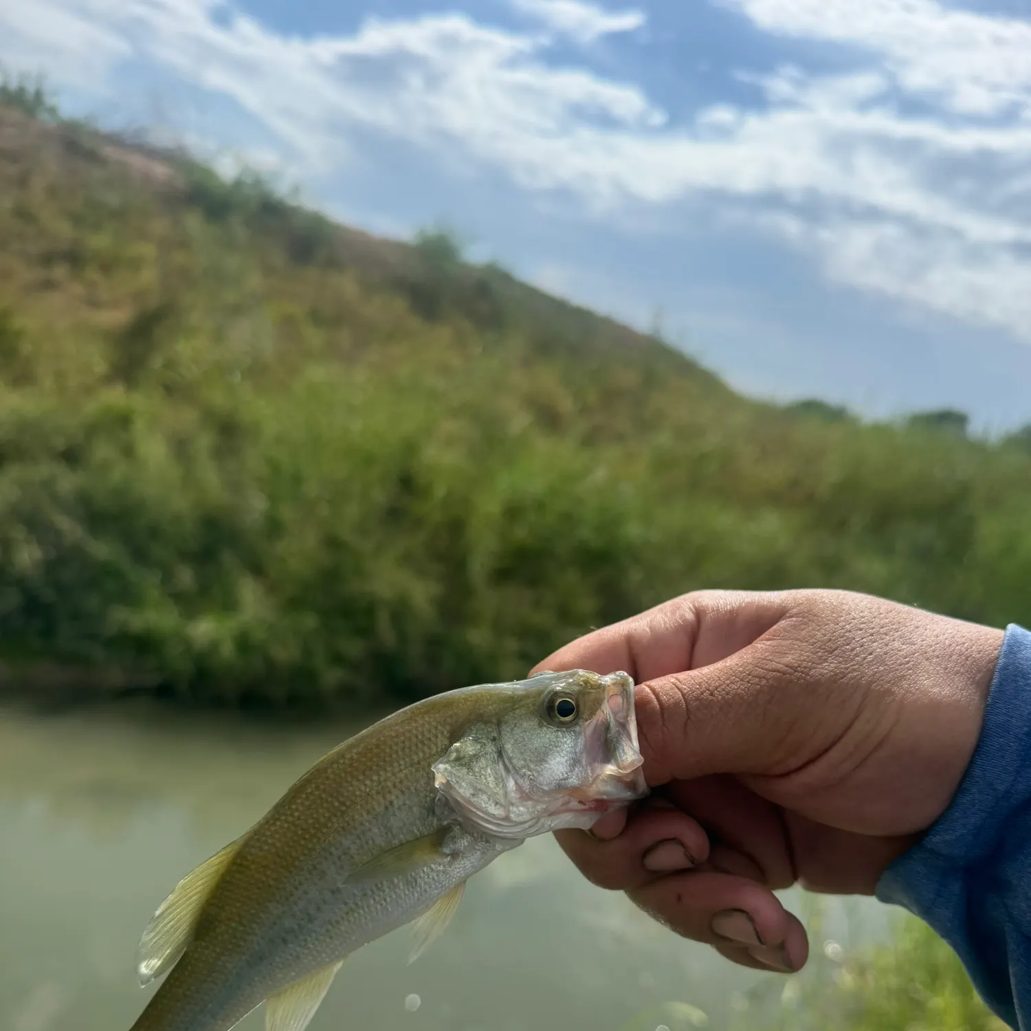 Fish caught on Fishbrain