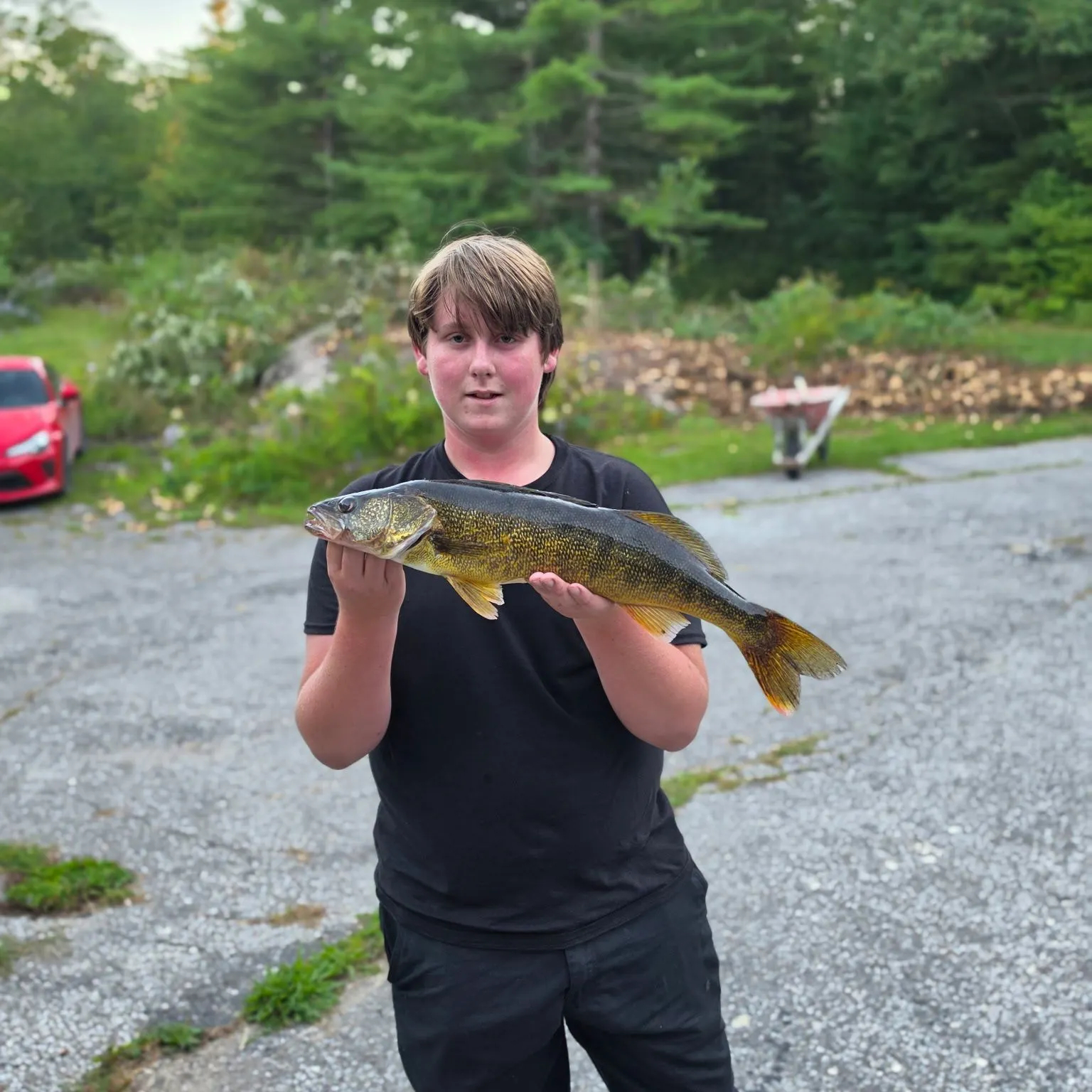 Walleye caught on Fishbrain