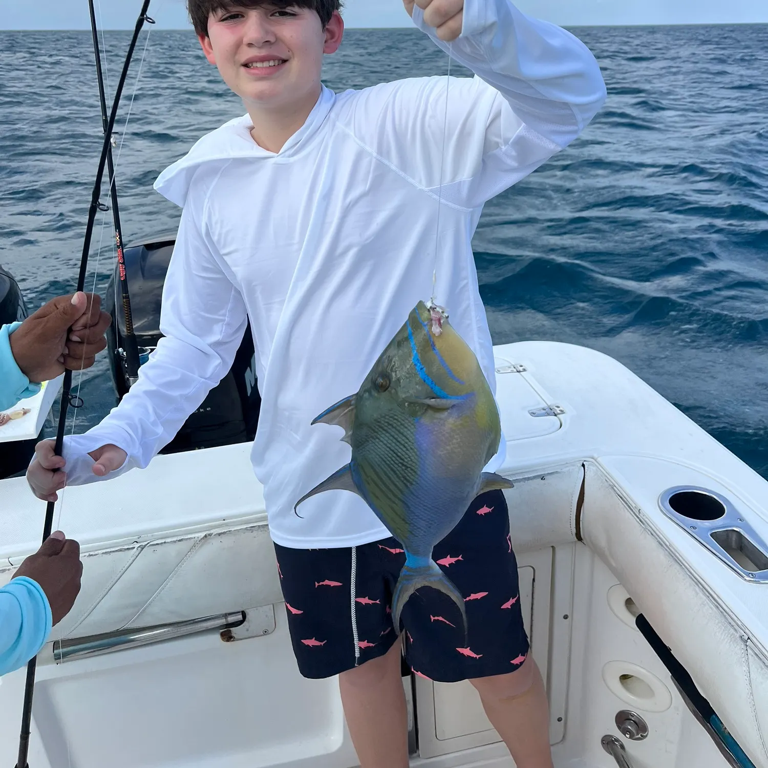 The most recent Picasso triggerfish catches on Fishbrain