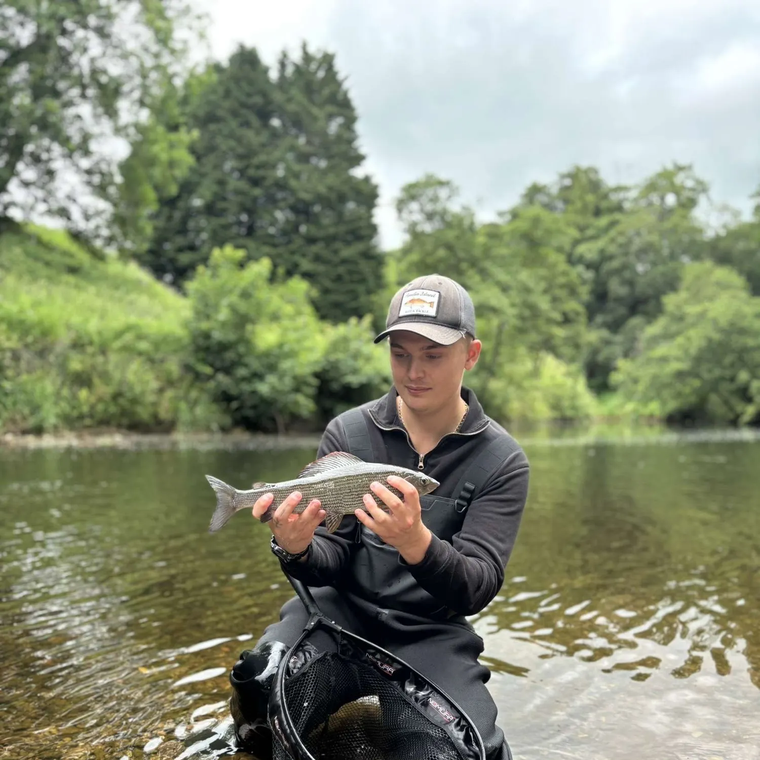The most recent European grayling catches on Fishbrain