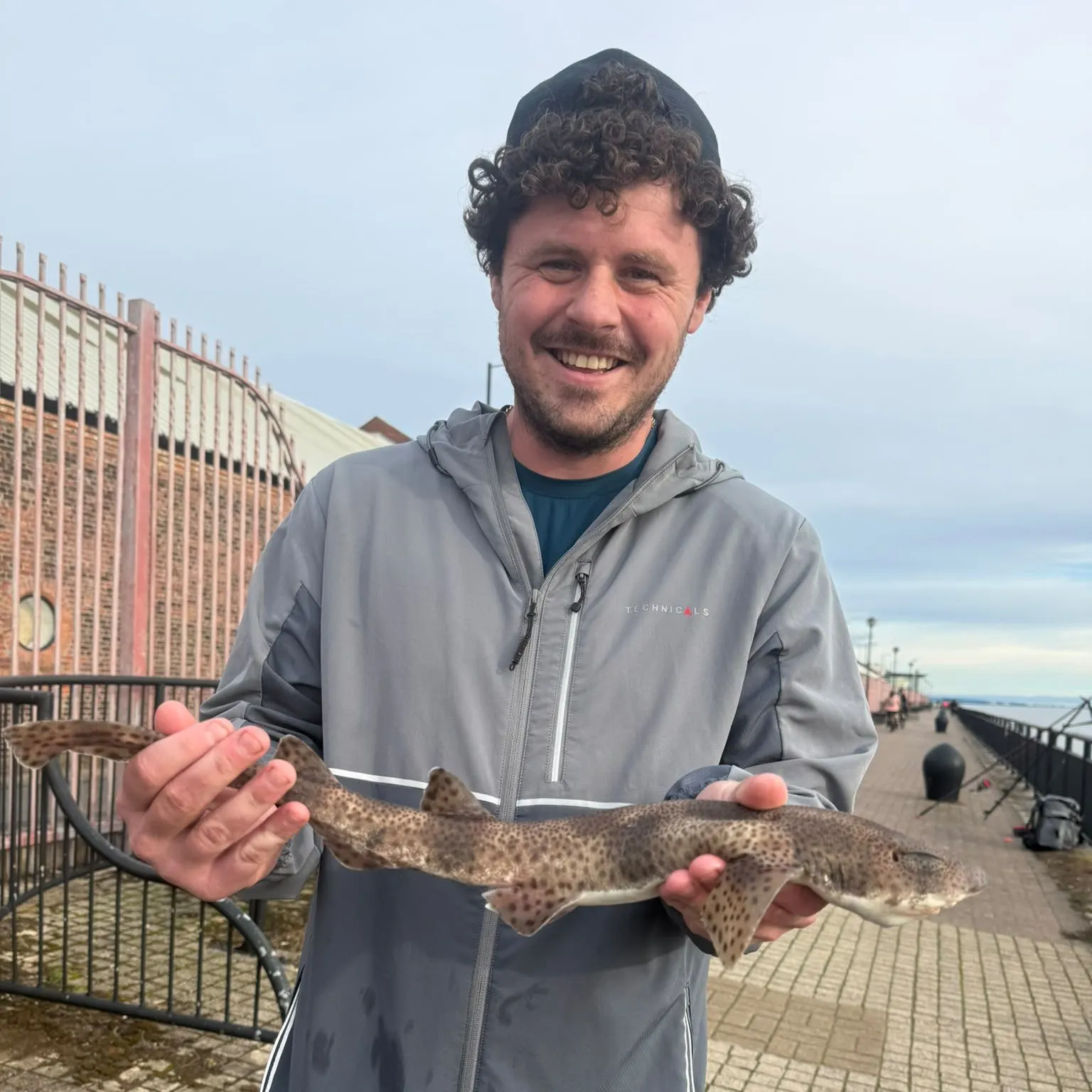 The most recent Lesser spotted dogfish catches on Fishbrain