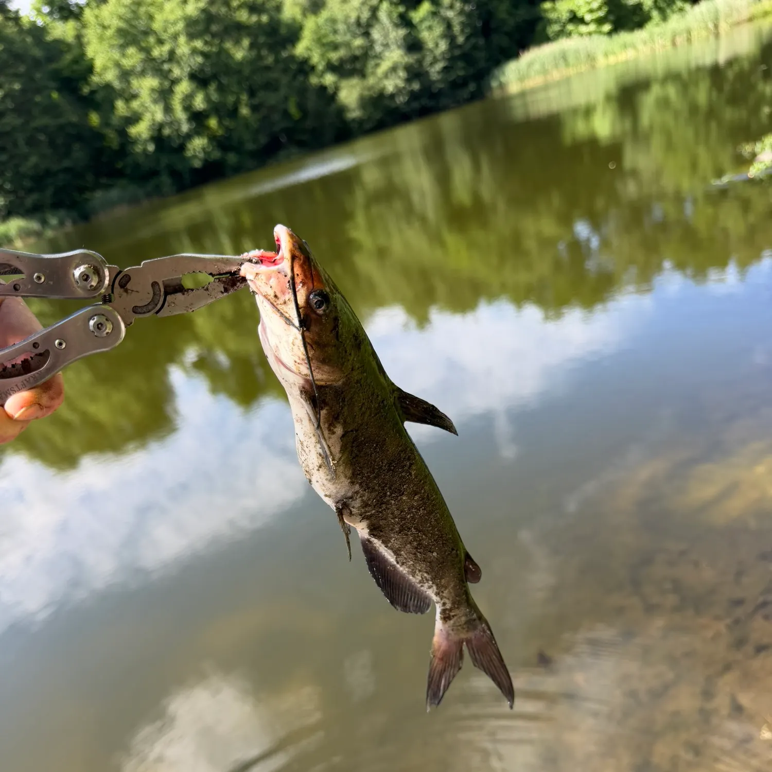 catch