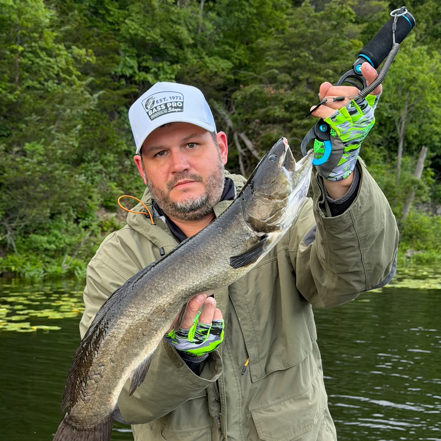 recently logged catches