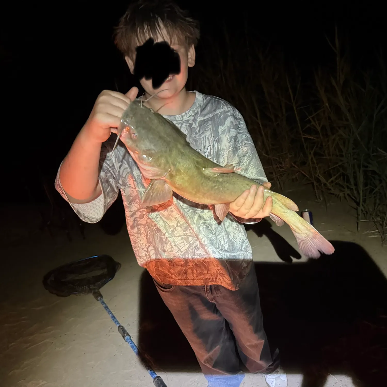 Flathead catfish caught on Fishbrain