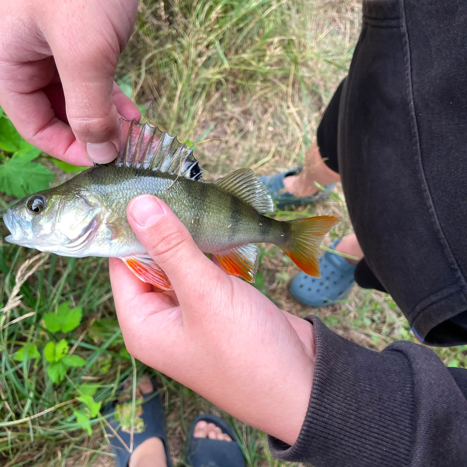 catch