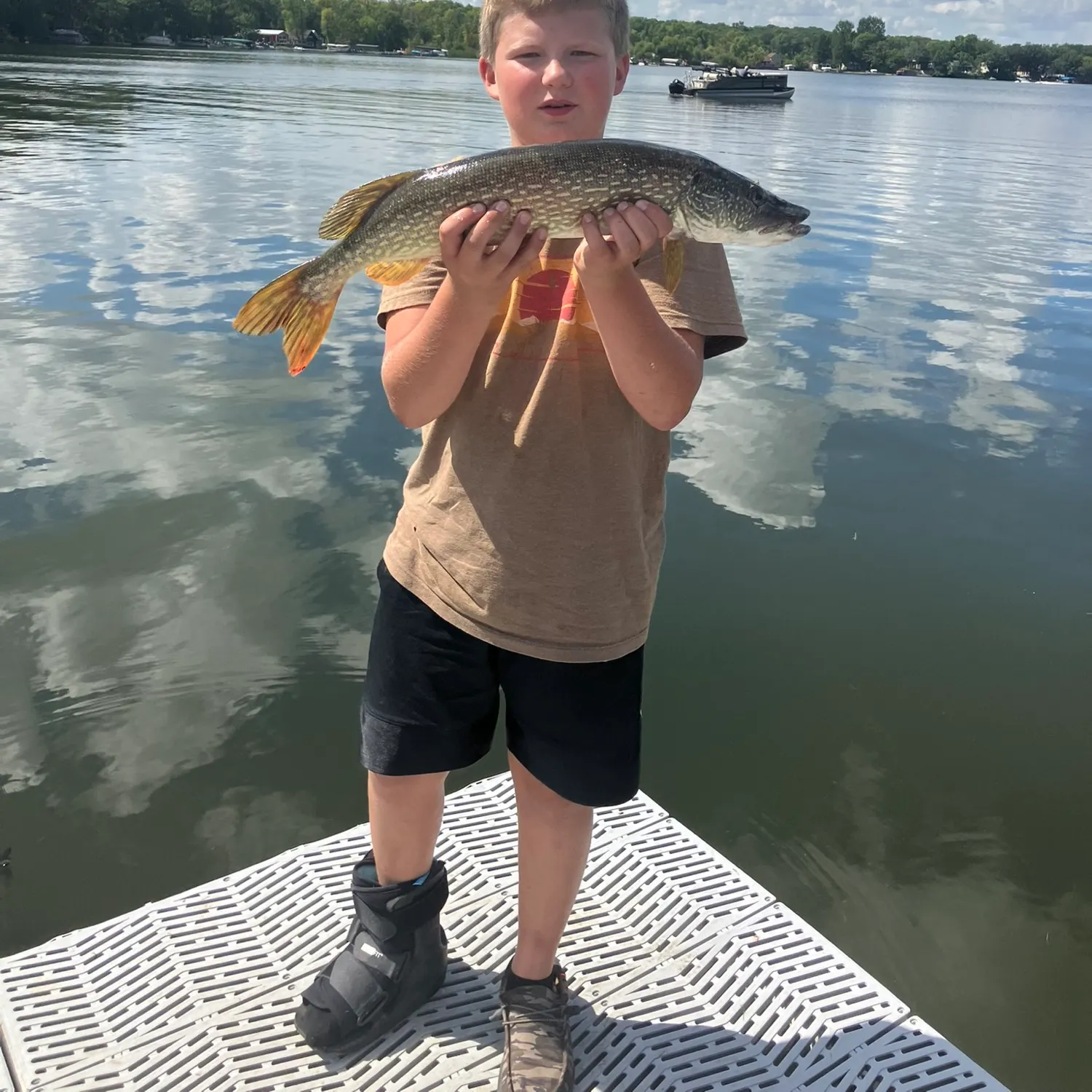 Northern pike caught on Fishbrain