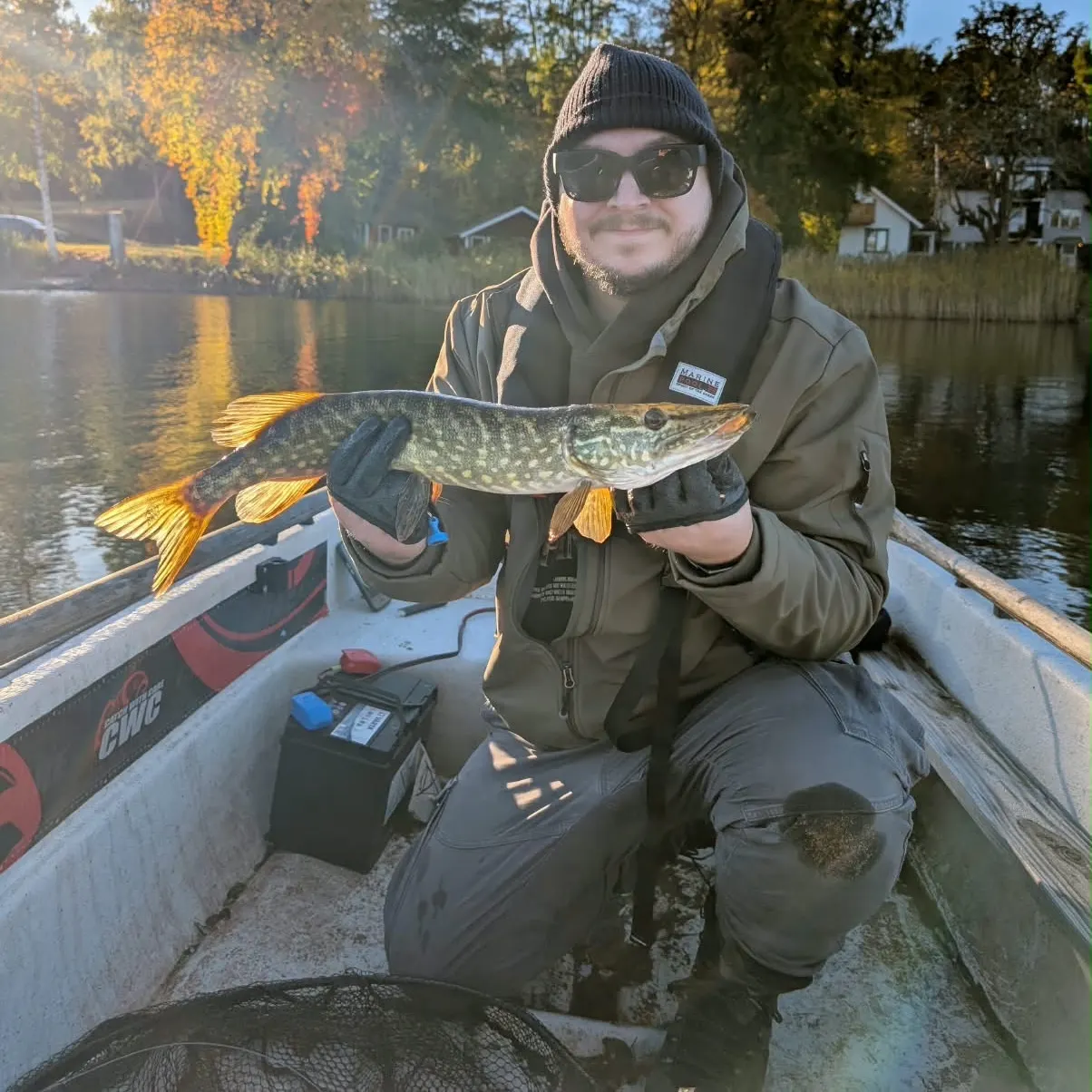 Northern pike caught on Fishbrain