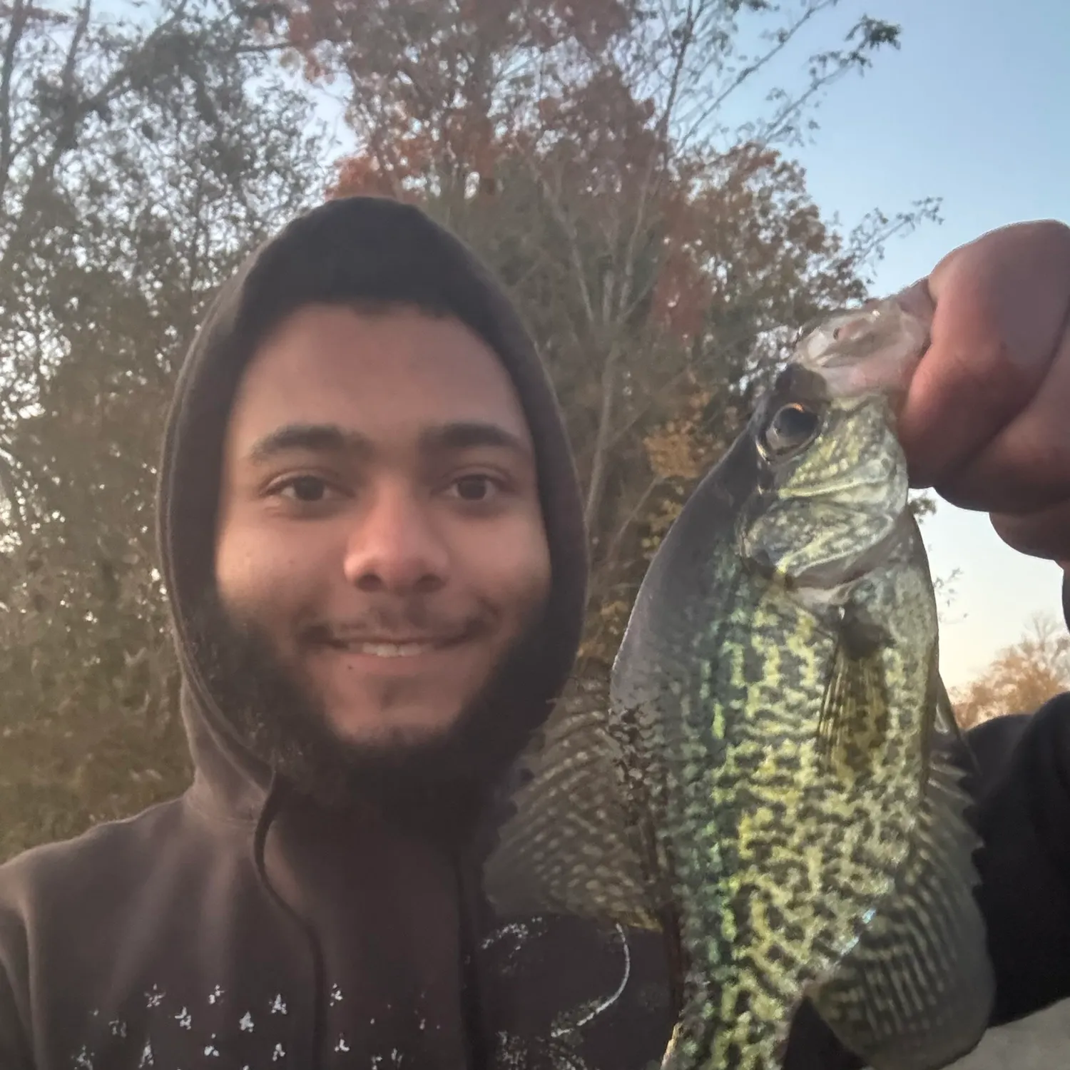 Black crappie caught on Fishbrain