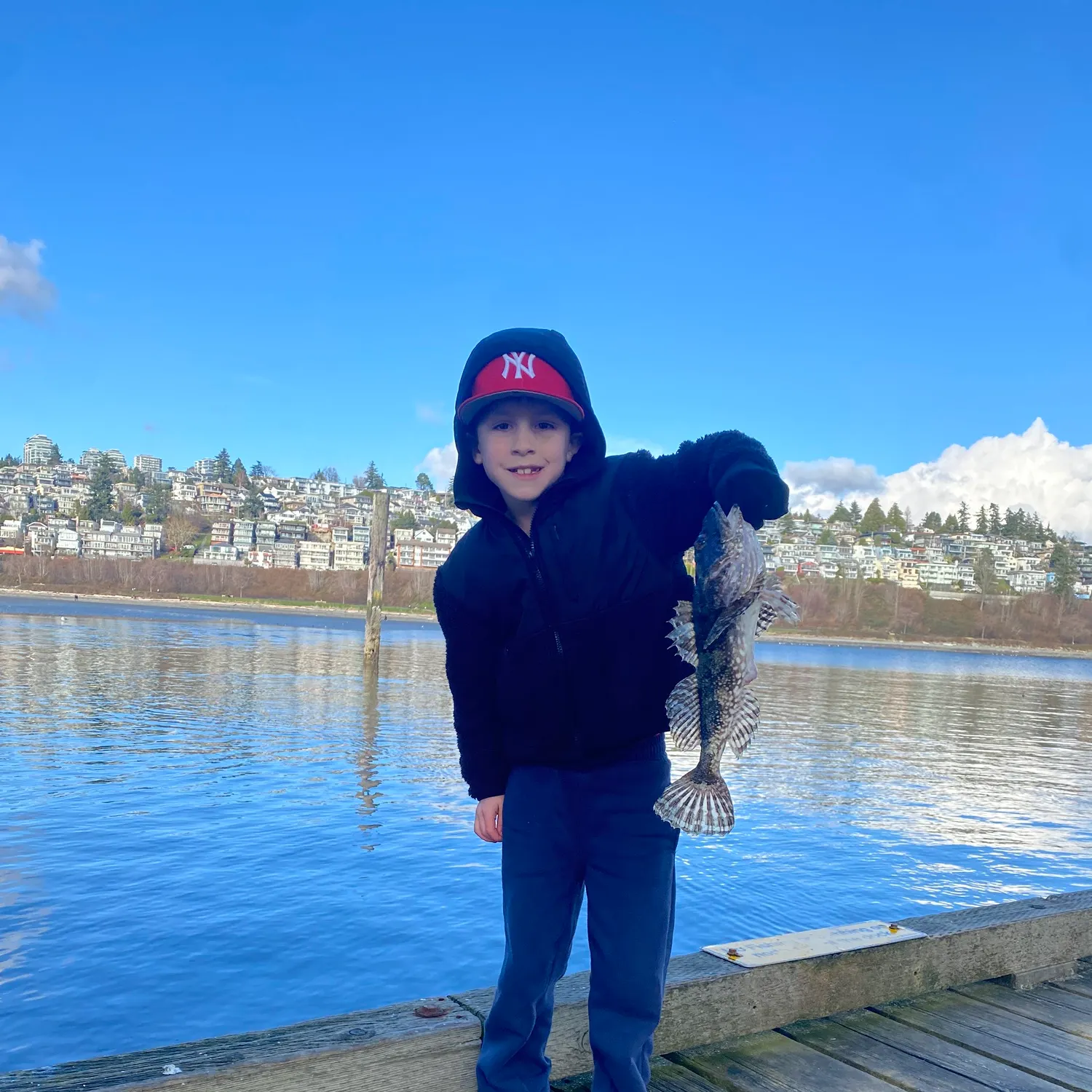 The most recent Great sculpin catches on Fishbrain