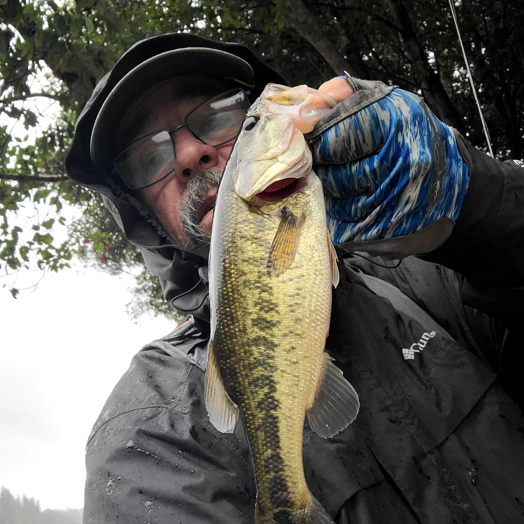 Spotted bass caught on Fishbrain
