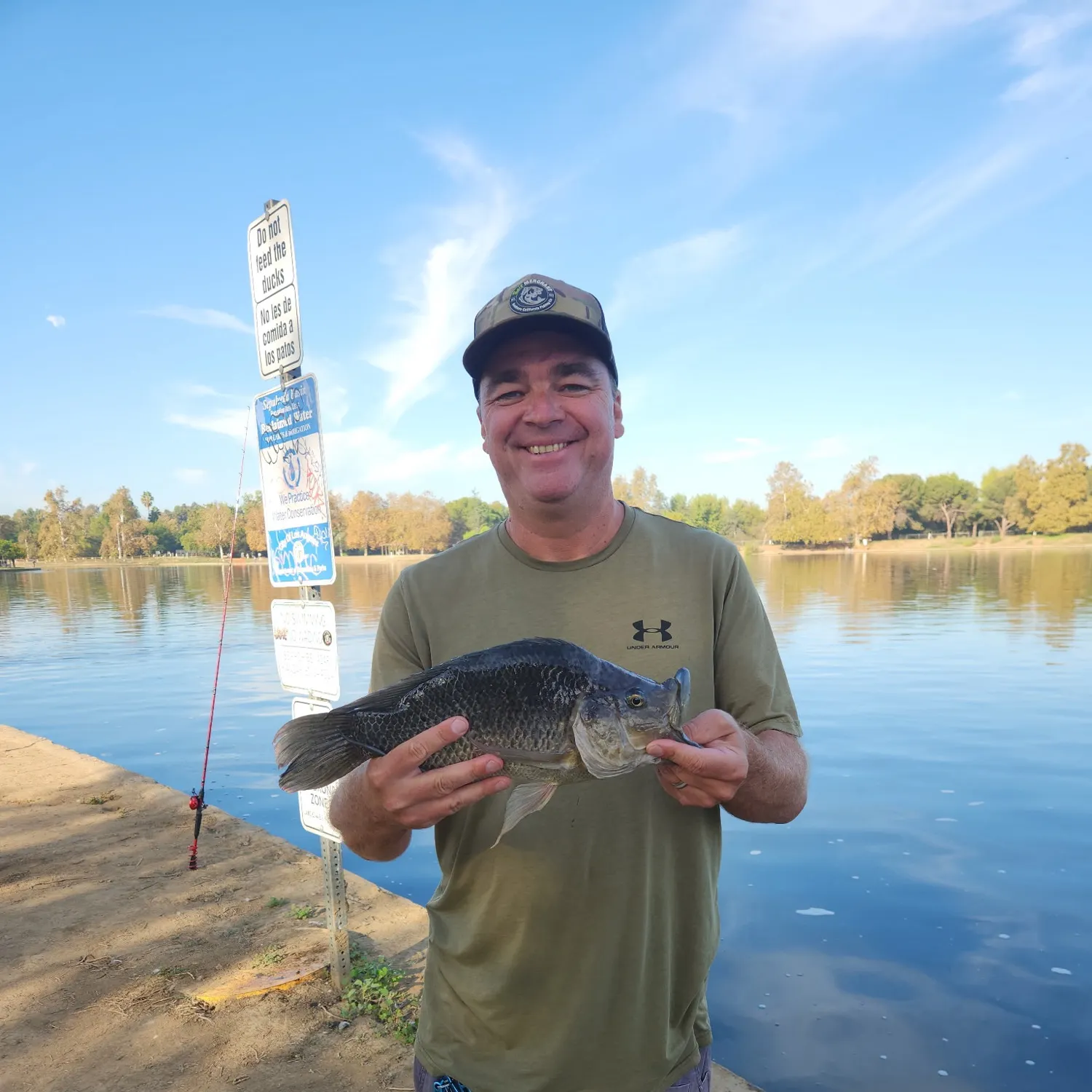 Blue tilapia caught on Fishbrain