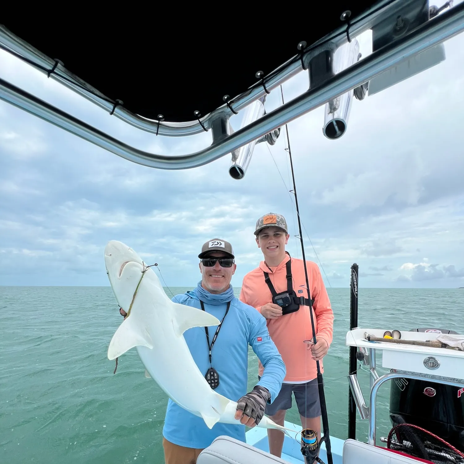 The most recent Silky shark catches on Fishbrain