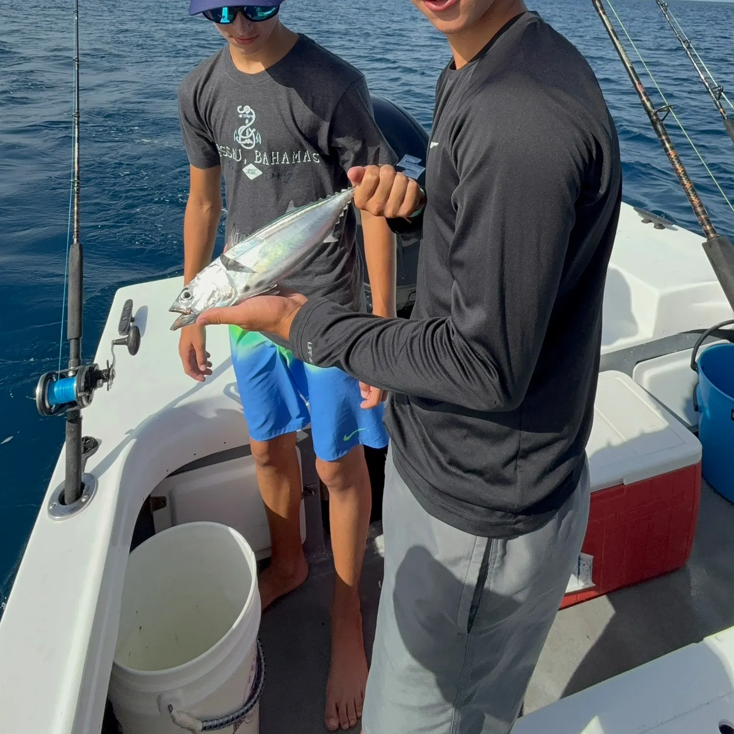 The most recent Black skipjack tuna catches on Fishbrain