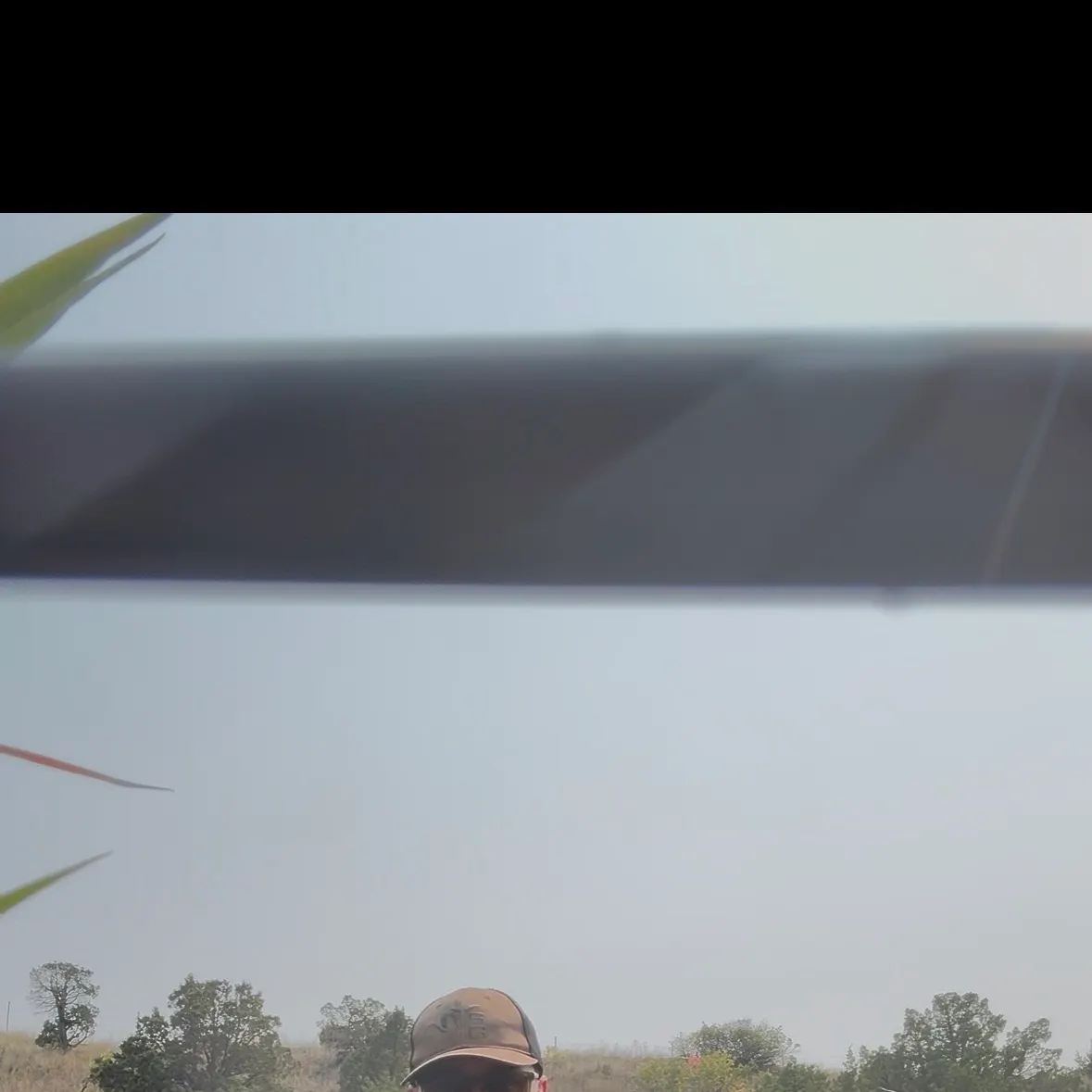 Common carp caught on Fishbrain