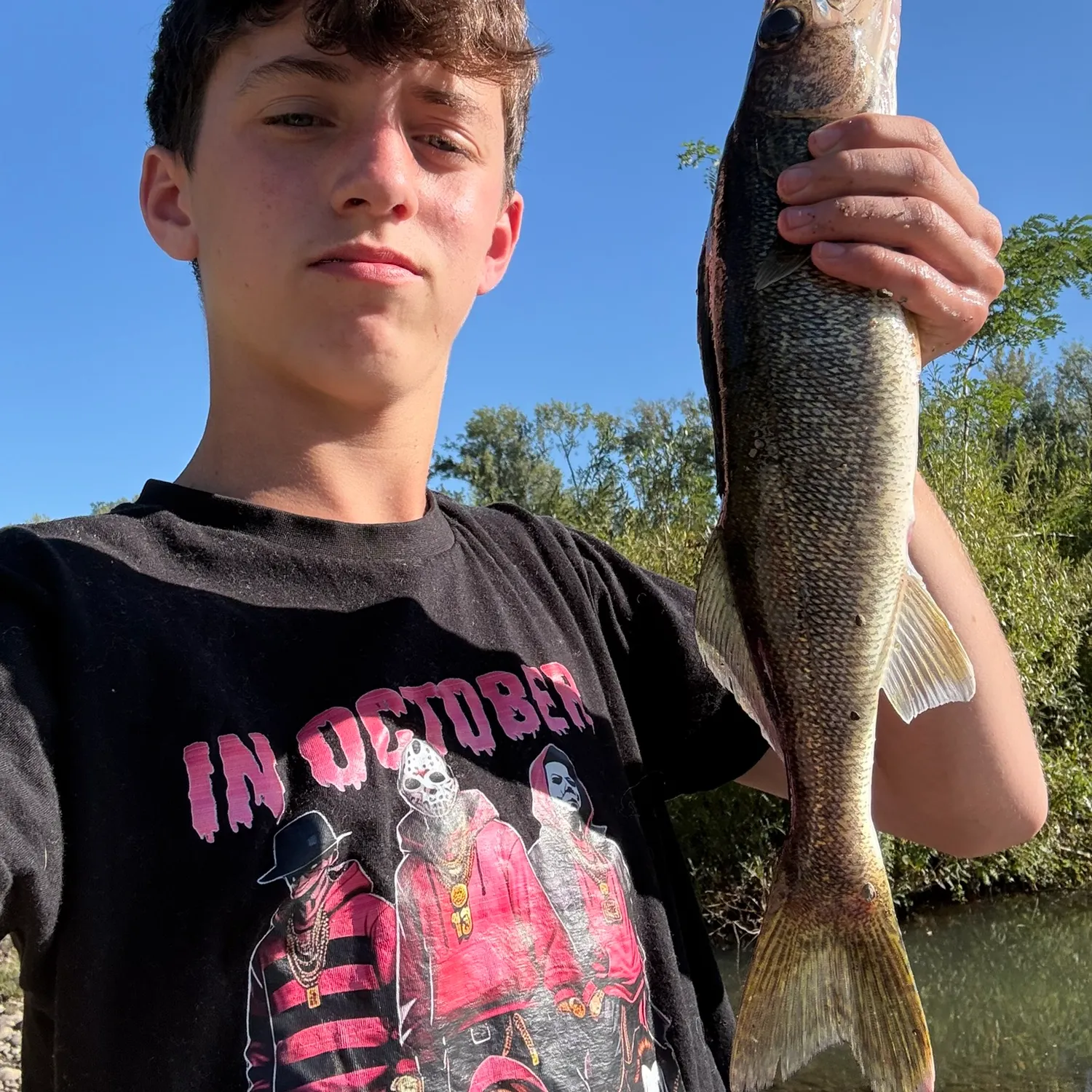 Walleye caught on Fishbrain