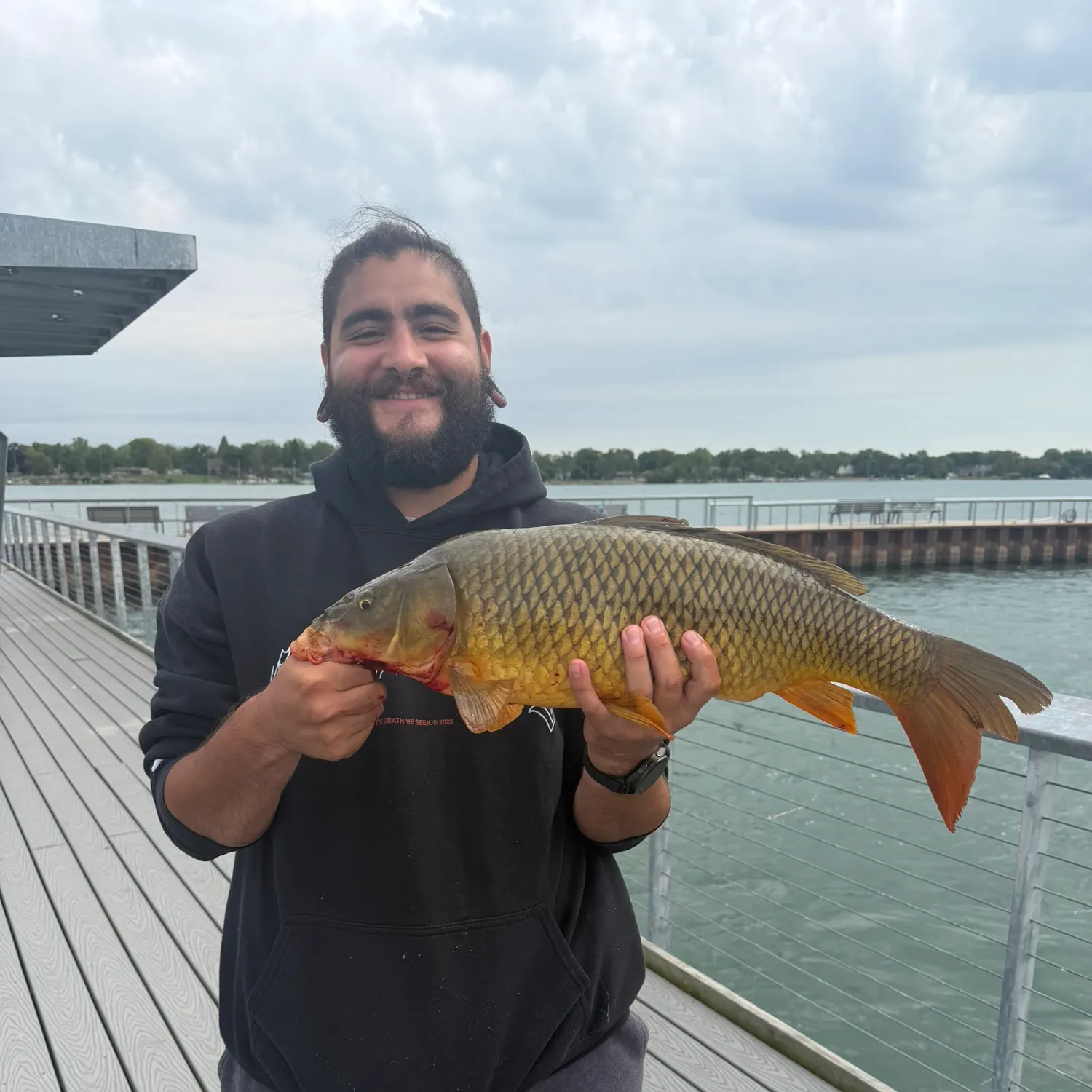 Common carp caught on Fishbrain