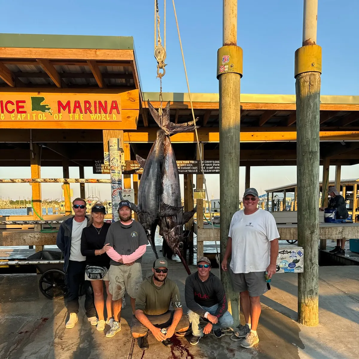 The most recent Swordfish catches on Fishbrain