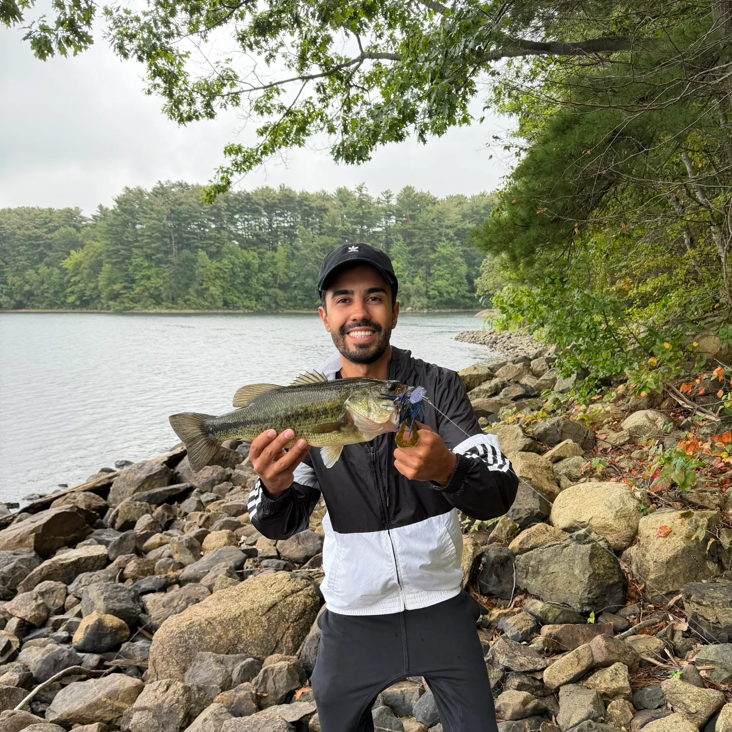 Largemouth bass caught on Fishbrain