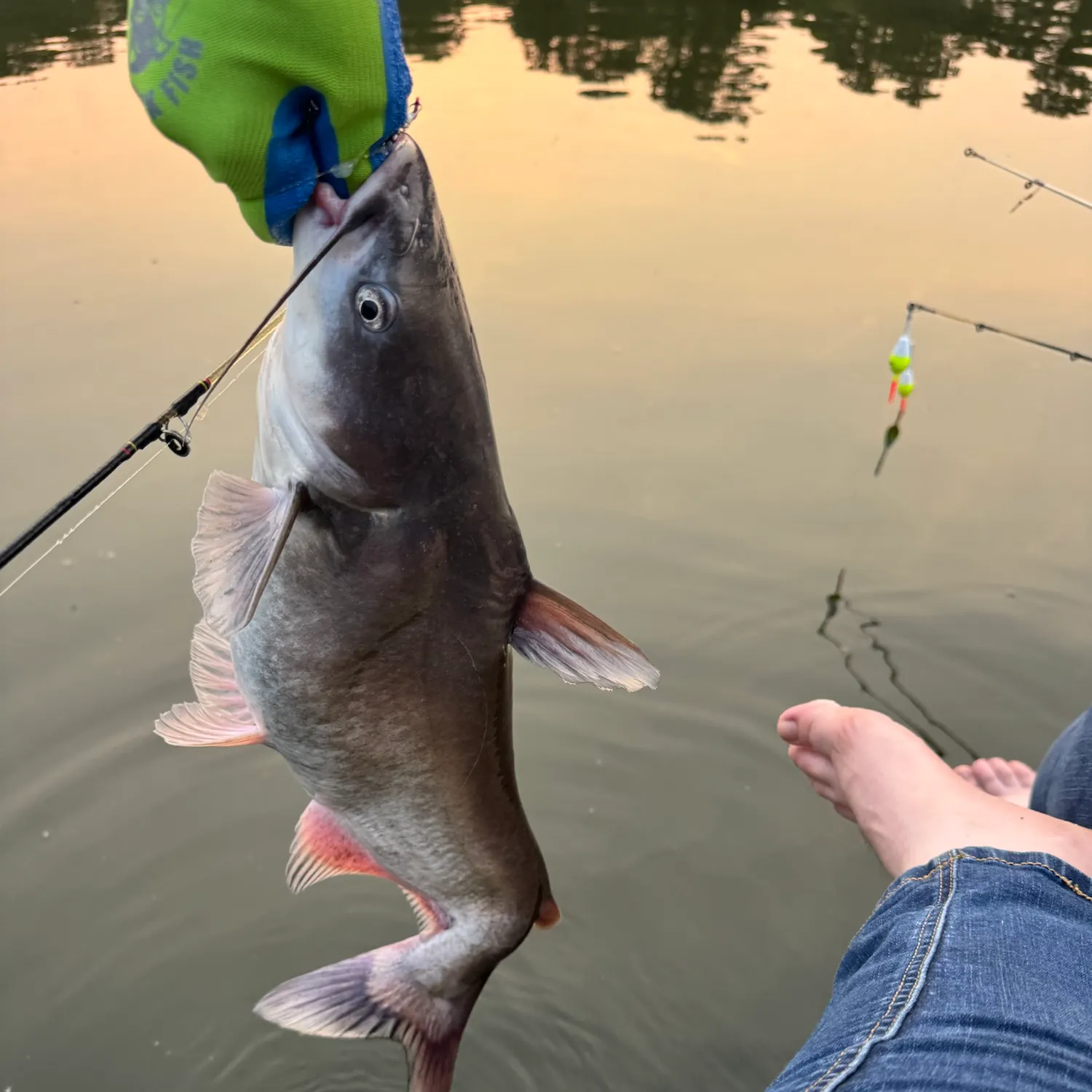 catch