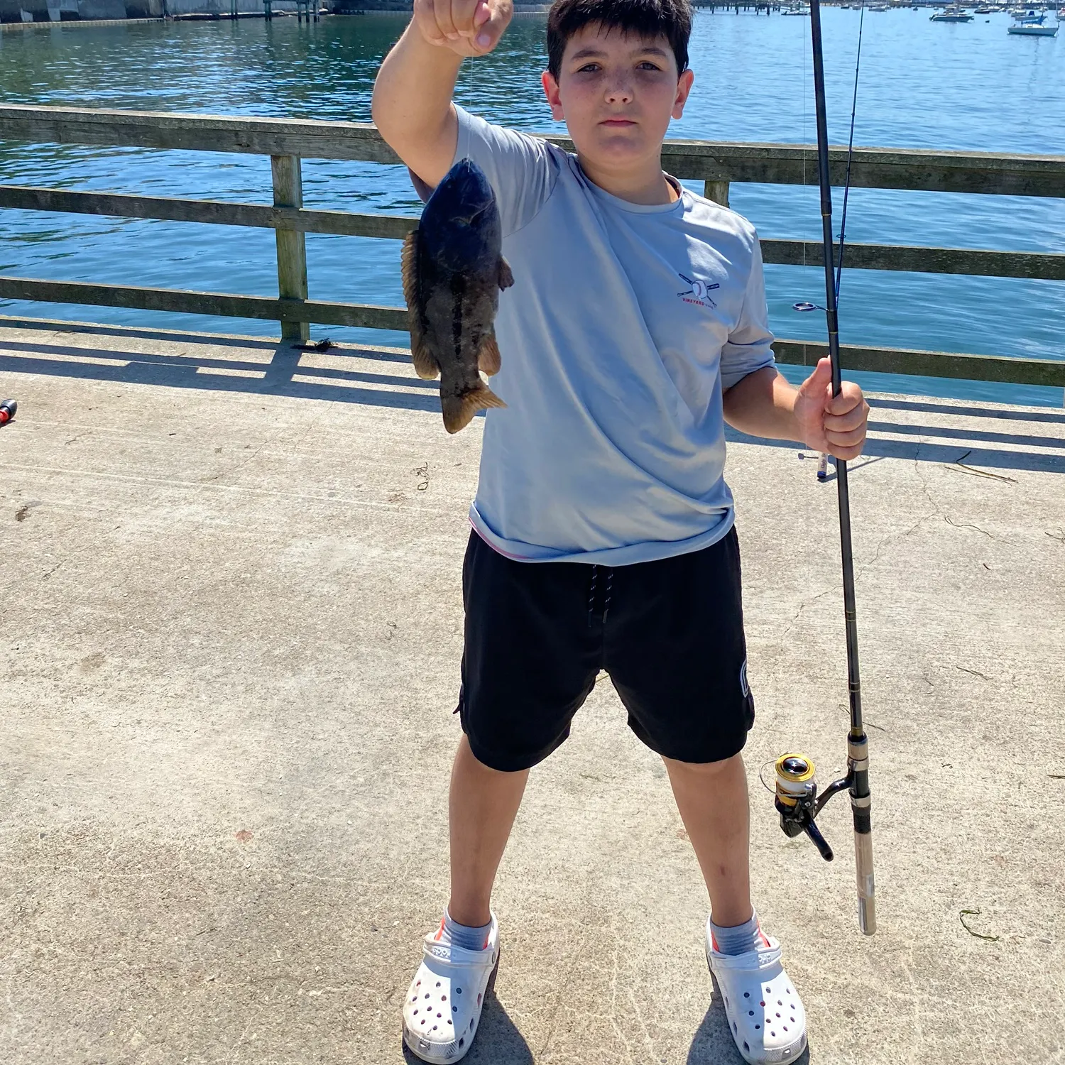 The most recent Black and white snapper catches on Fishbrain