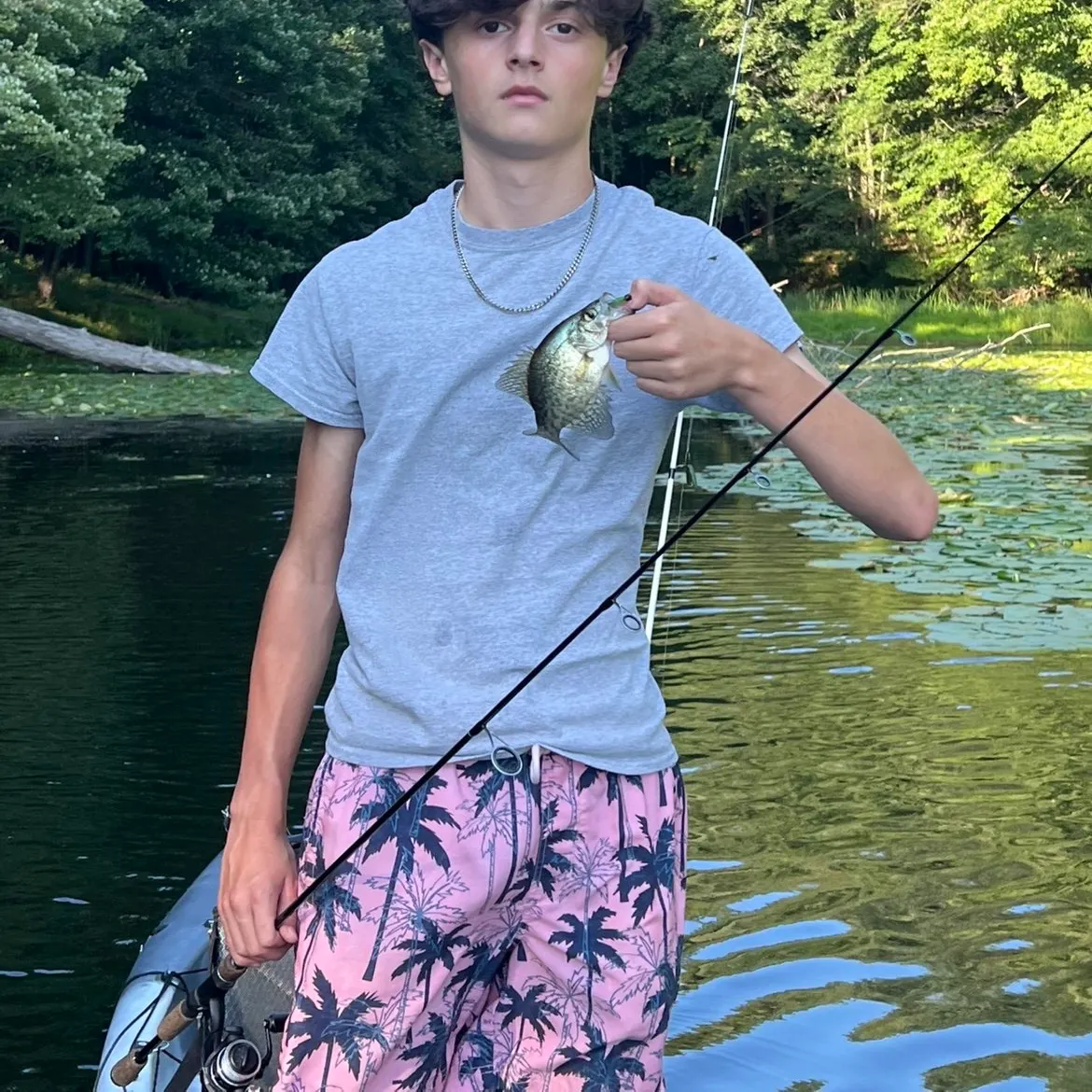 Black crappie caught on Fishbrain